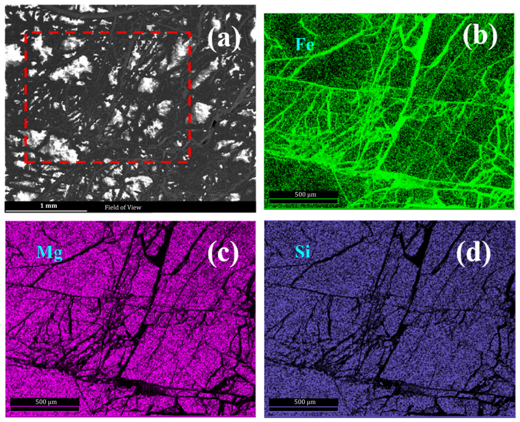 Chemosensors 11 00563 g011