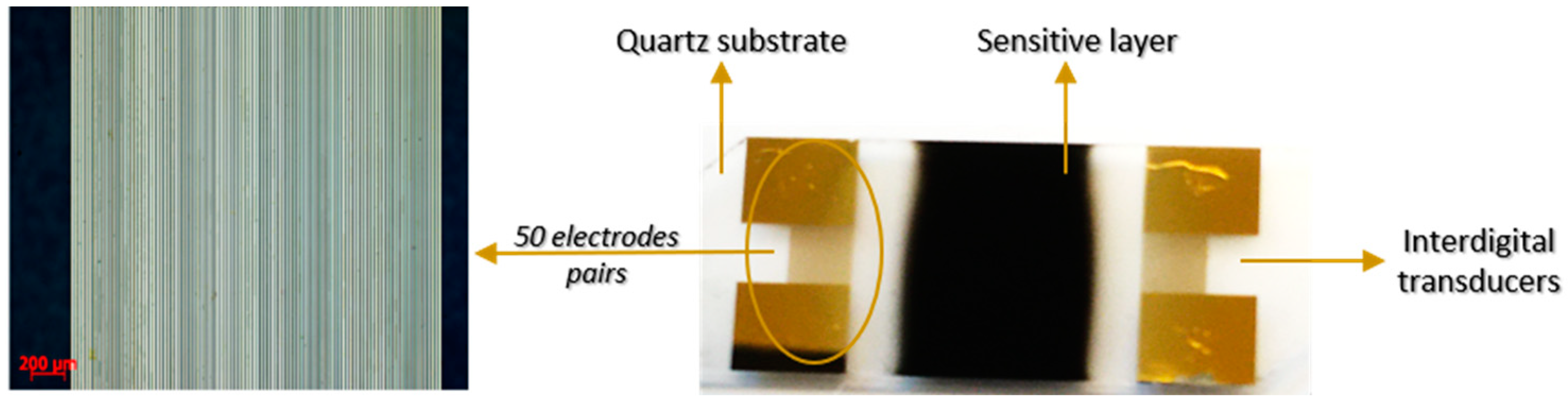 Chemosensors 11 00566 g001