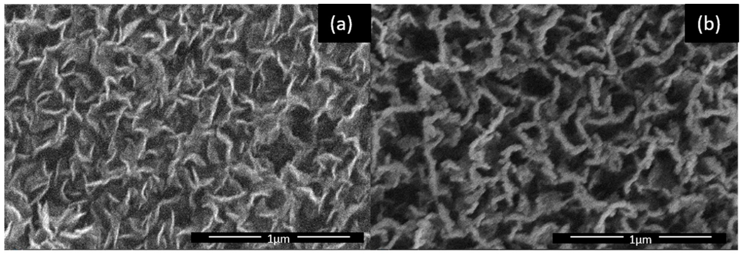 Chemosensors 11 00566 g003