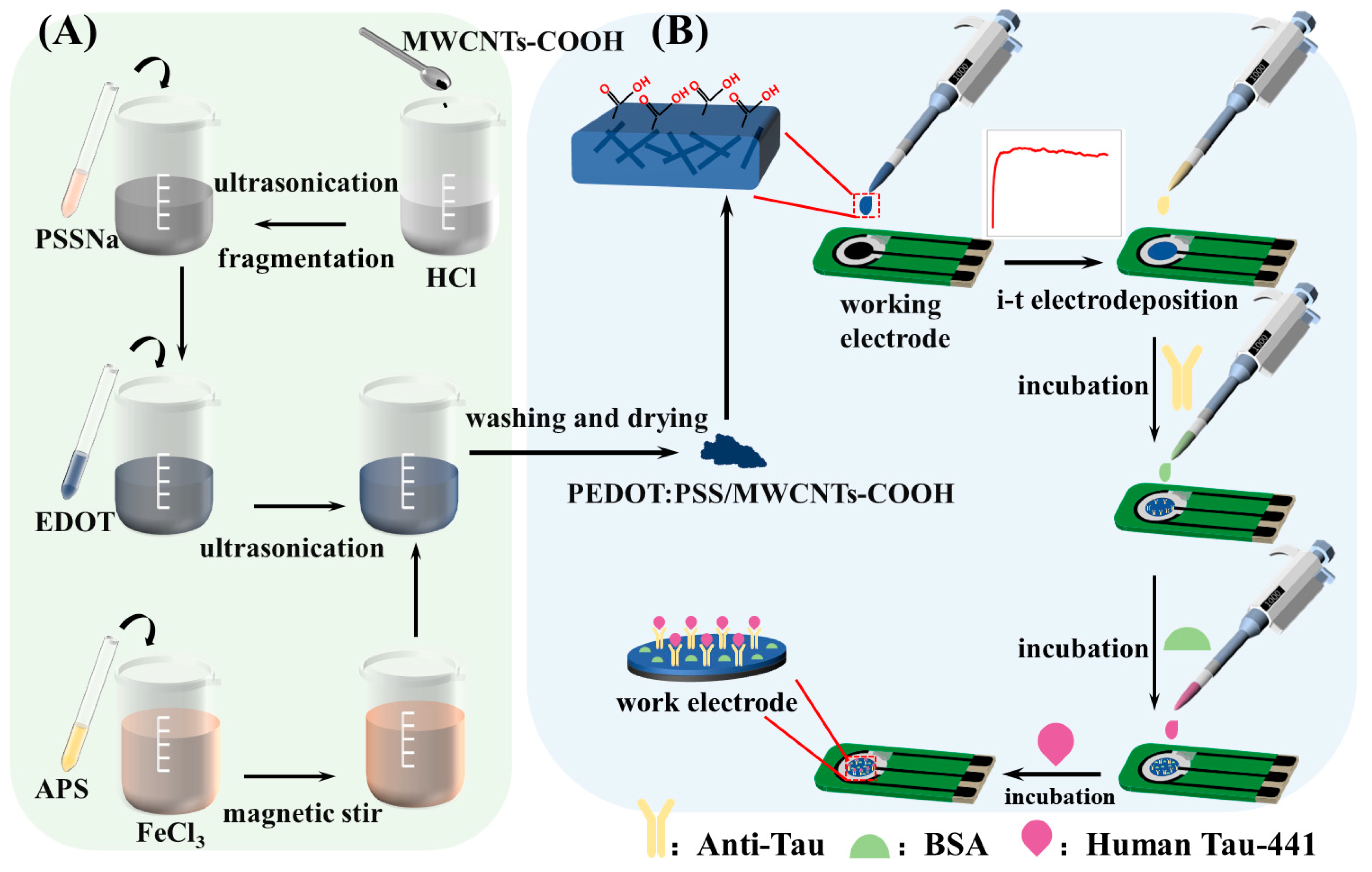Chemosensors 11 00573 g001
