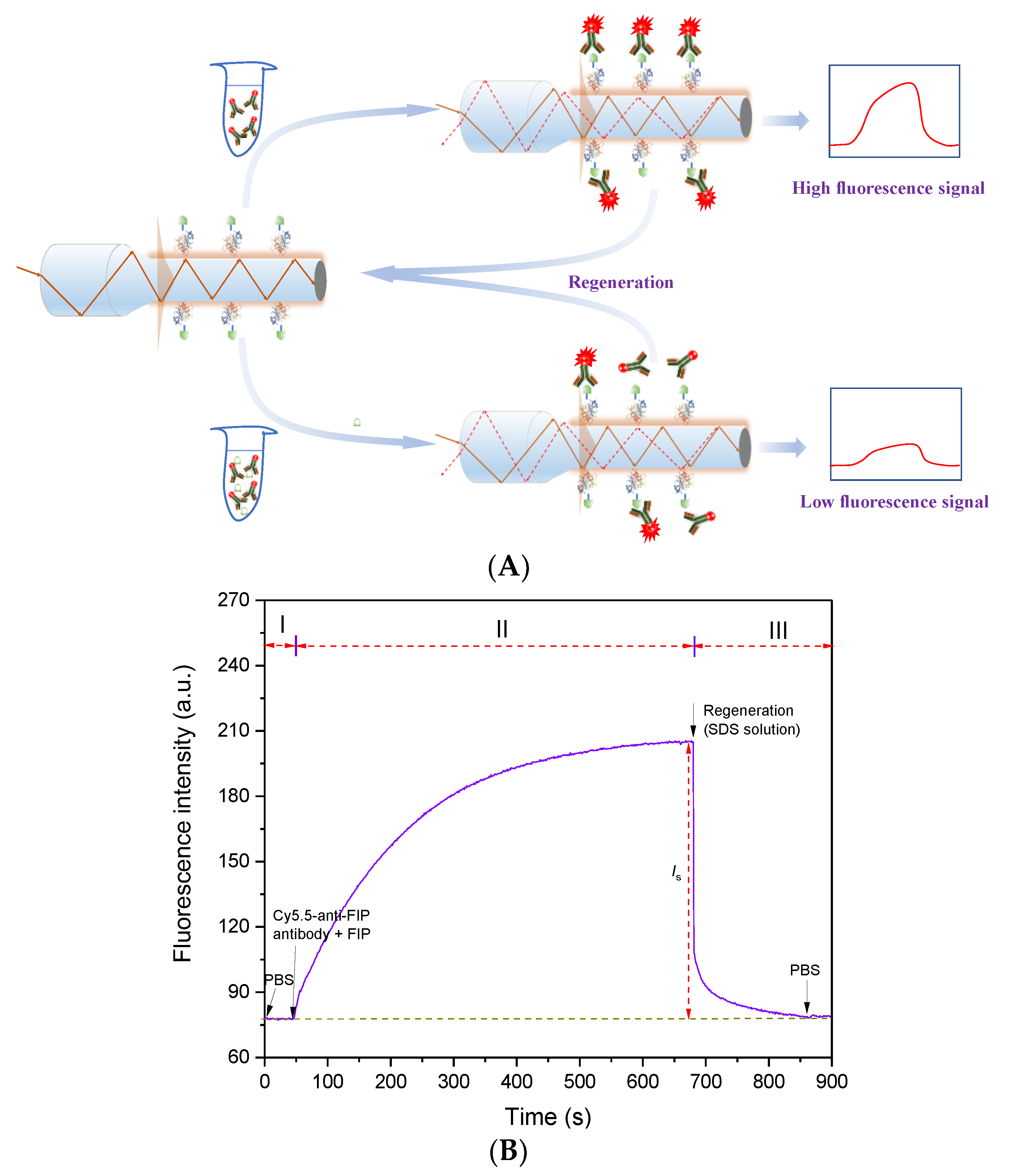 Chemosensors 11 00578 g003