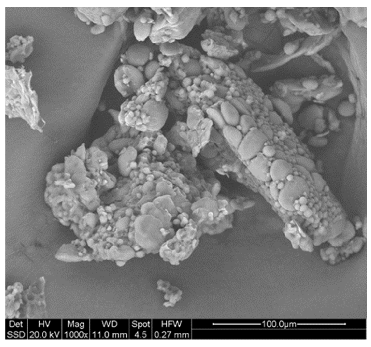 Chemosensors 12 00001 g013
