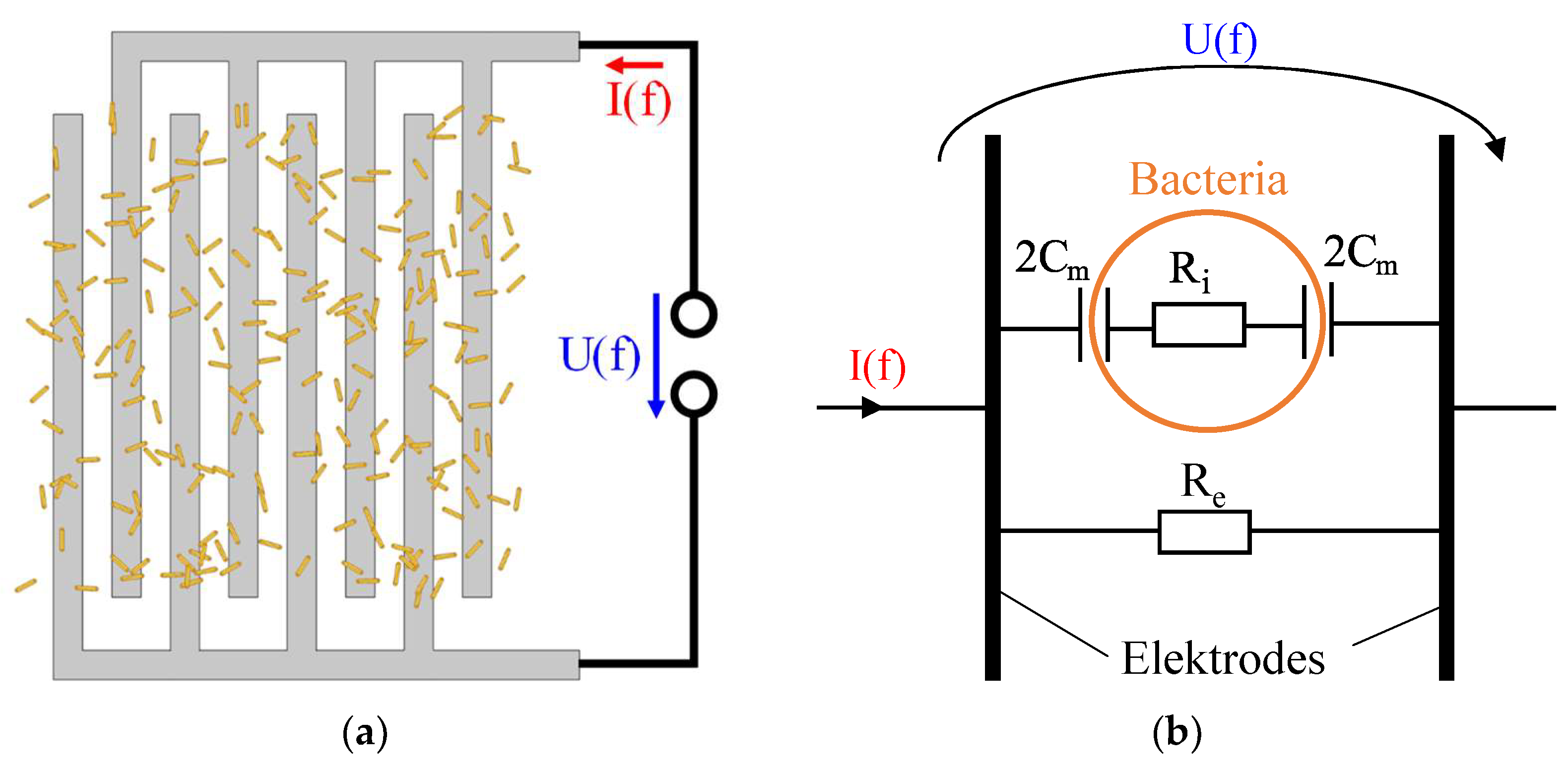 Chemosensors 12 00014 g001