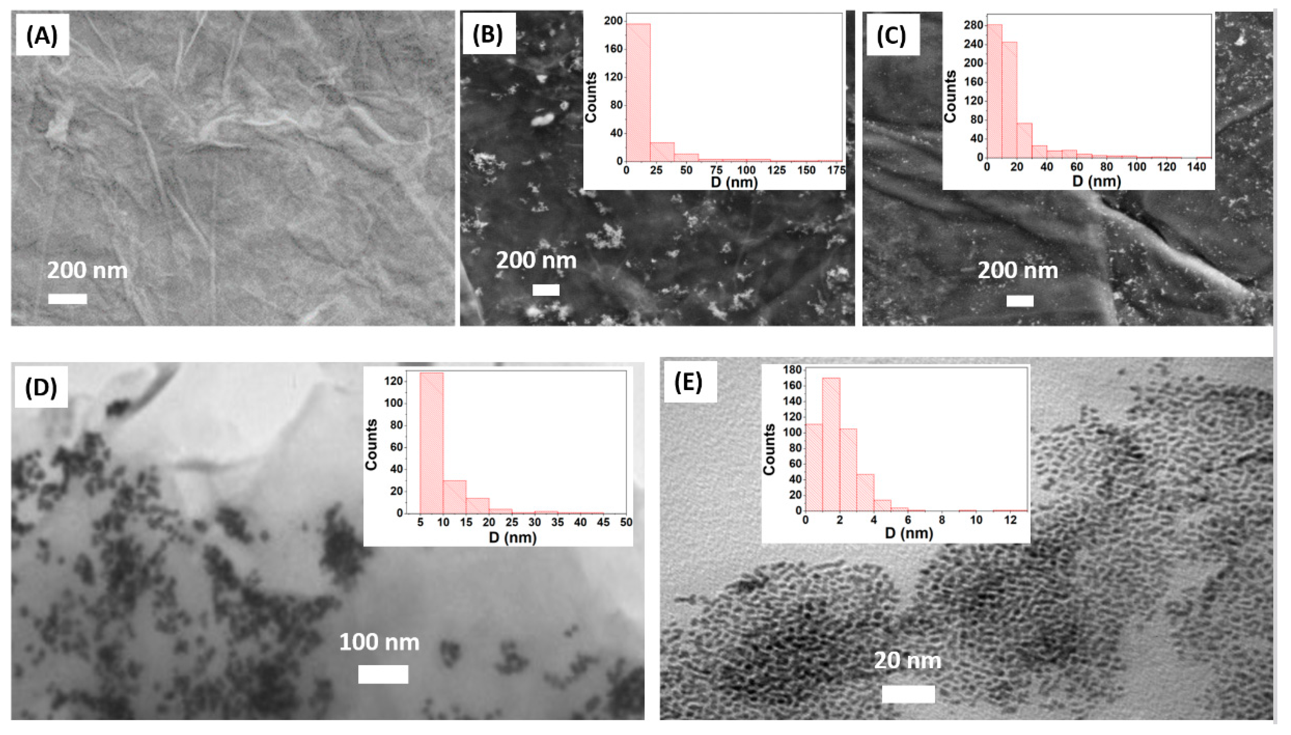 Chemosensors 12 00024 g001