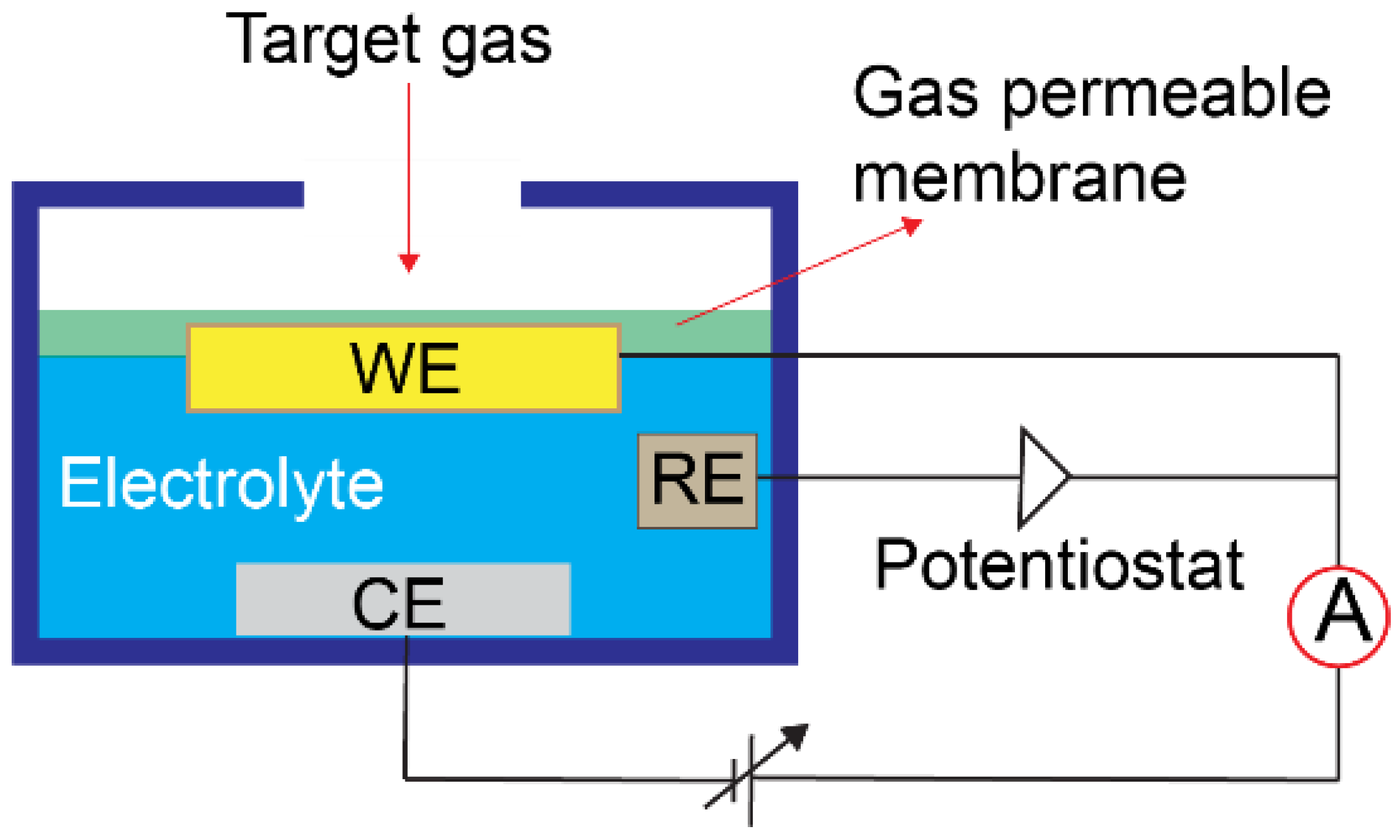 Chemosensors 12 00027 g001 Chemosensors 12 00027 g001