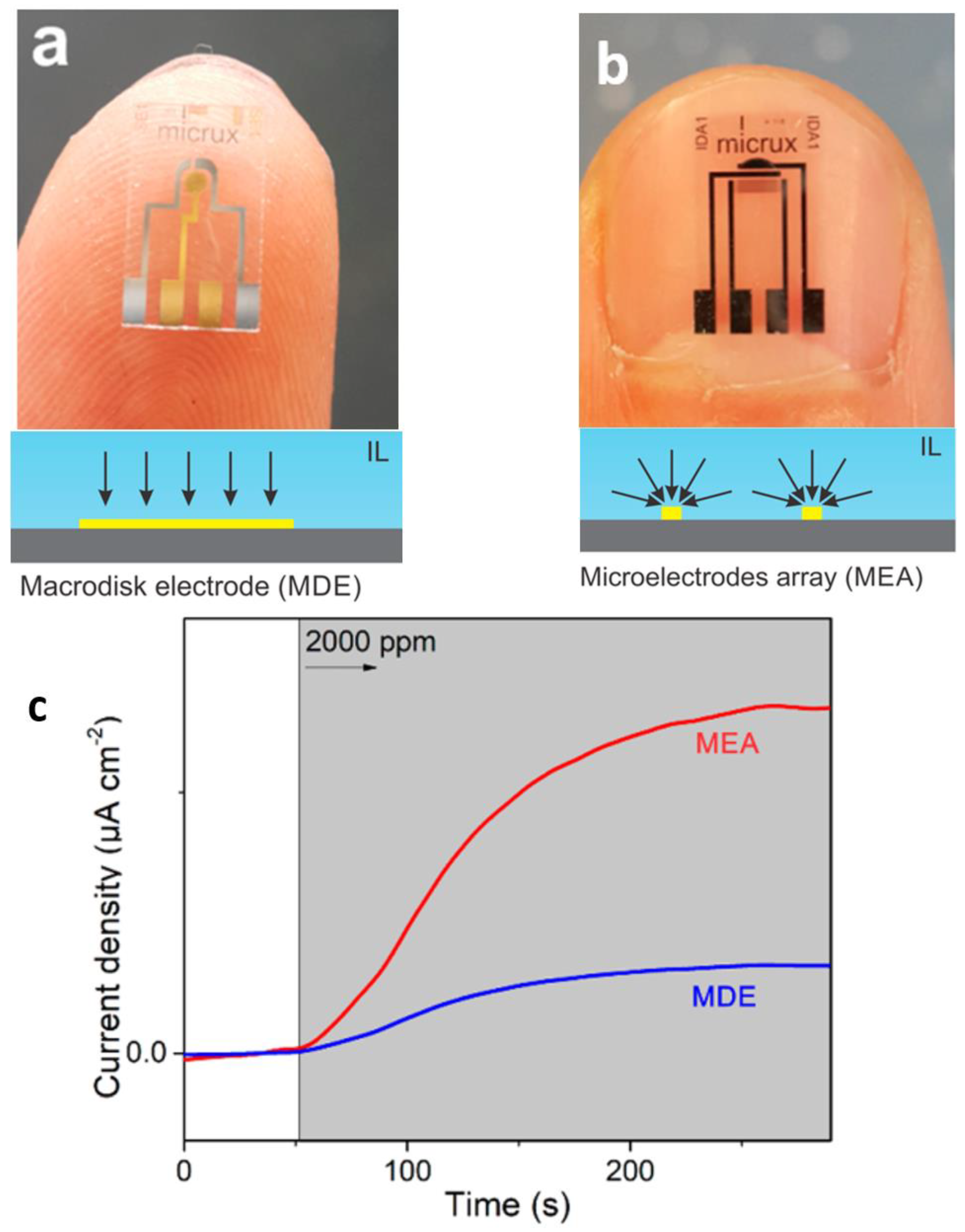 Chemosensors 12 00027 g004 Chemosensors 12 00027 g004