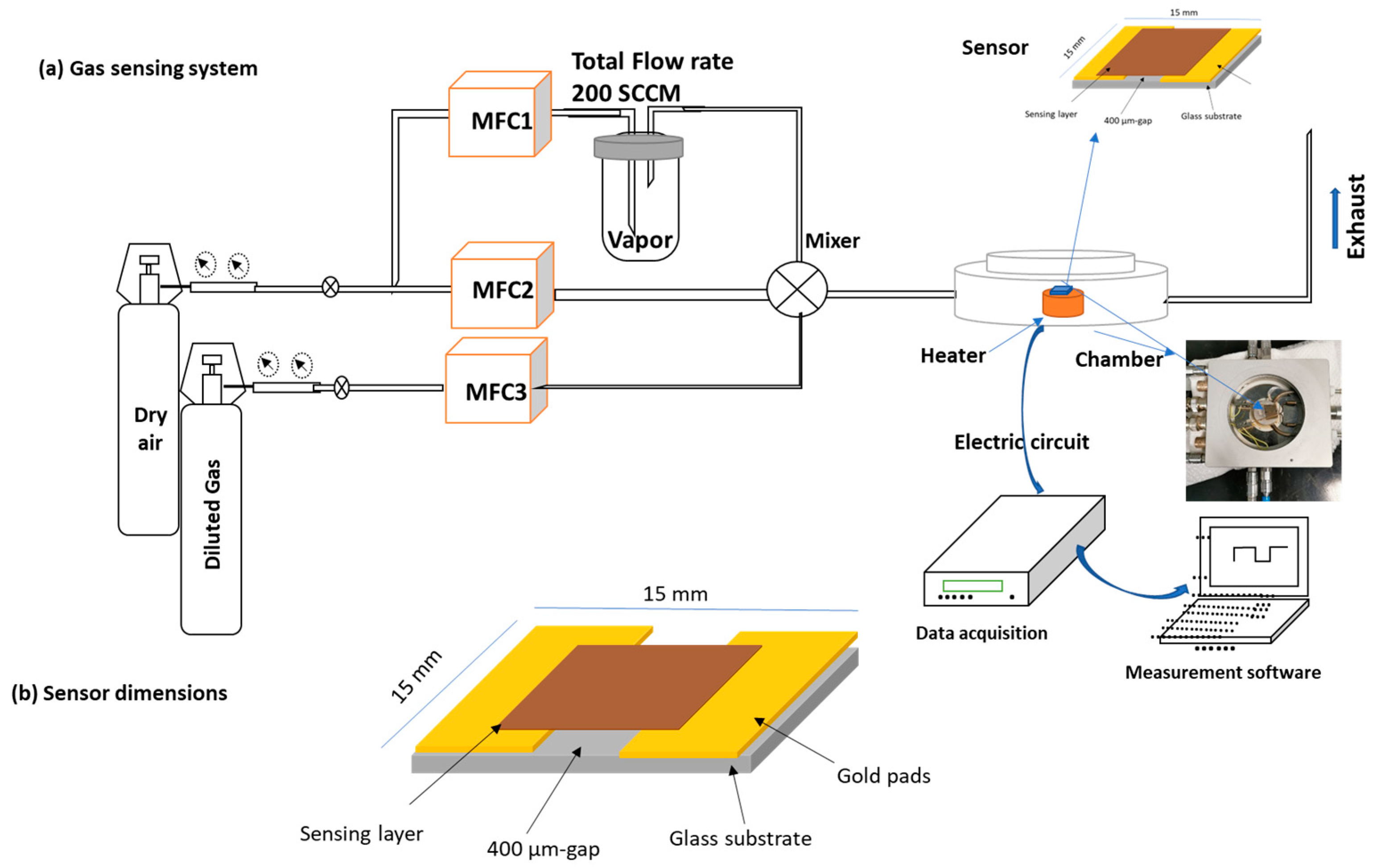 Chemosensors 12 00028 g001