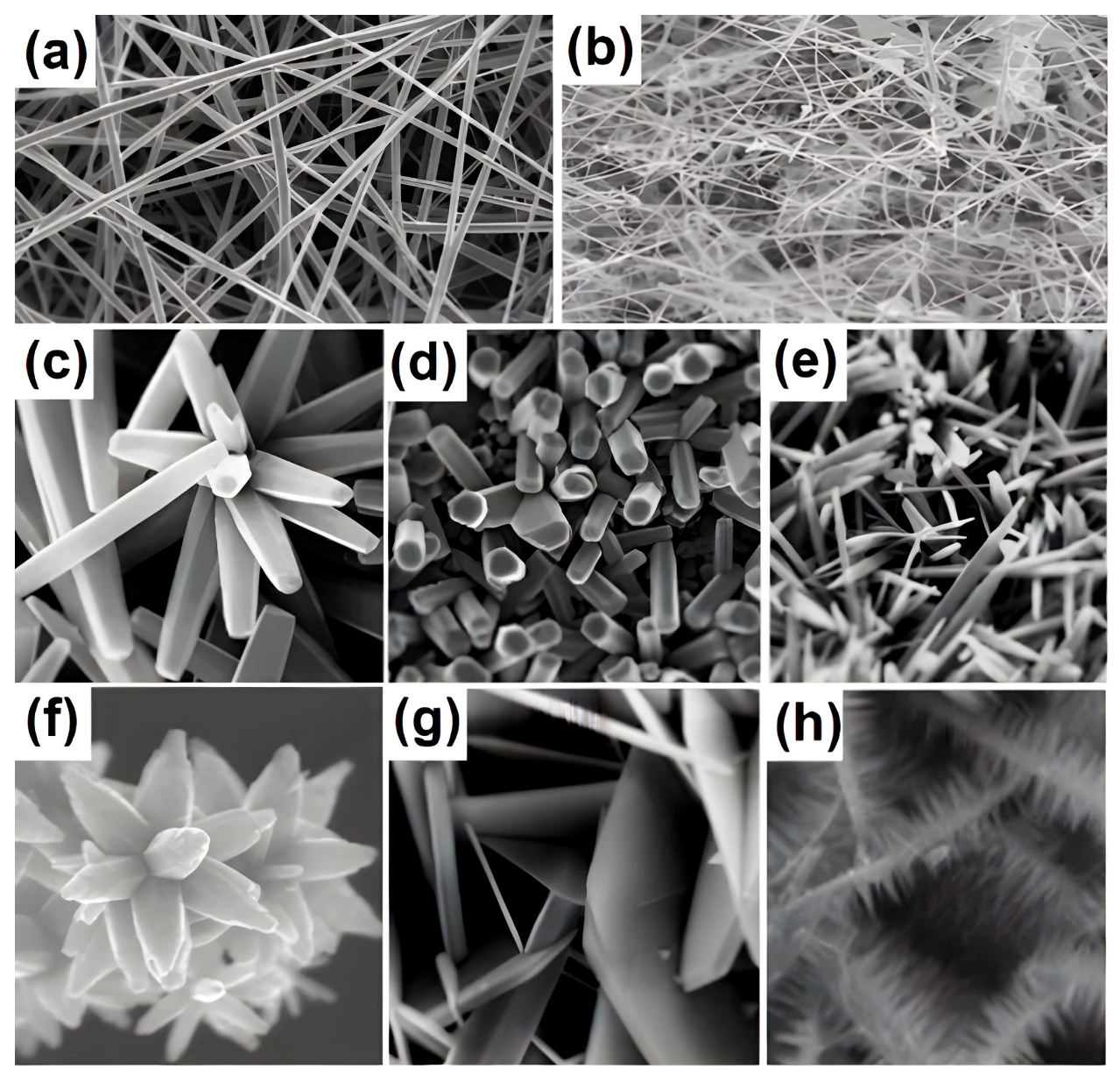 Chemosensors 12 00042 g001 Chemosensors 12 00042 g001