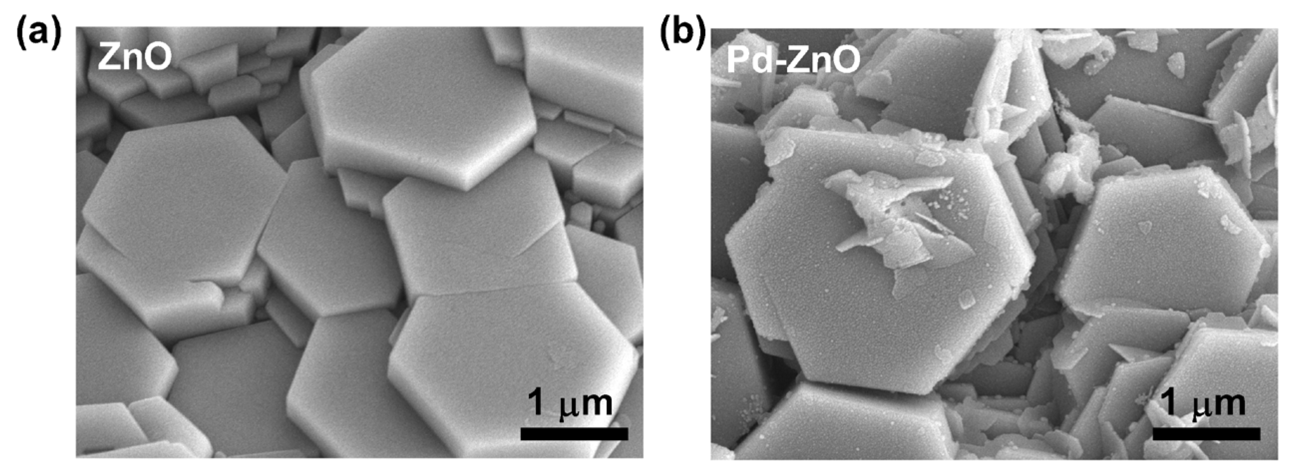 Chemosensors 12 00043 g002