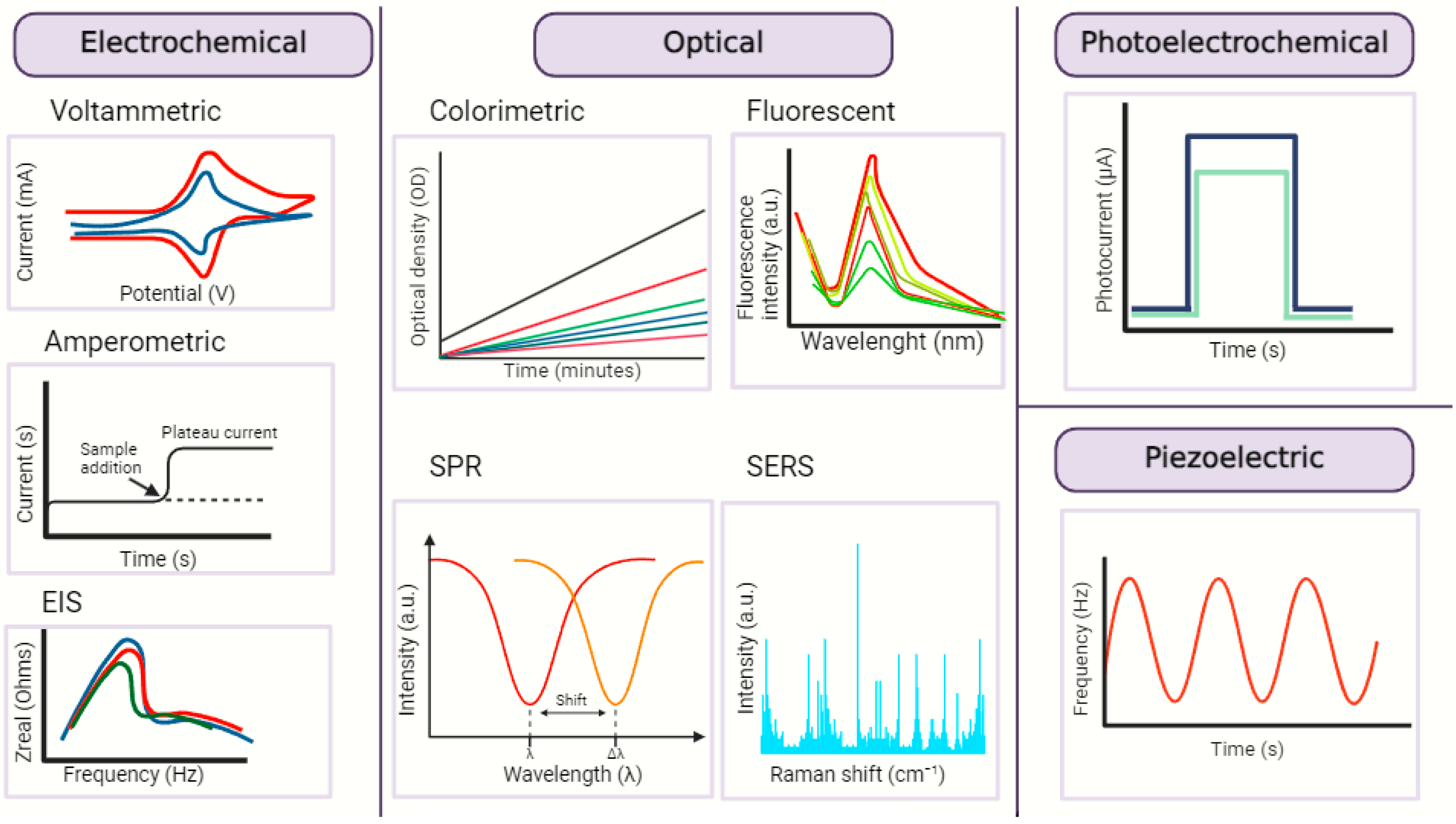 Chemosensors 12 00044 g005