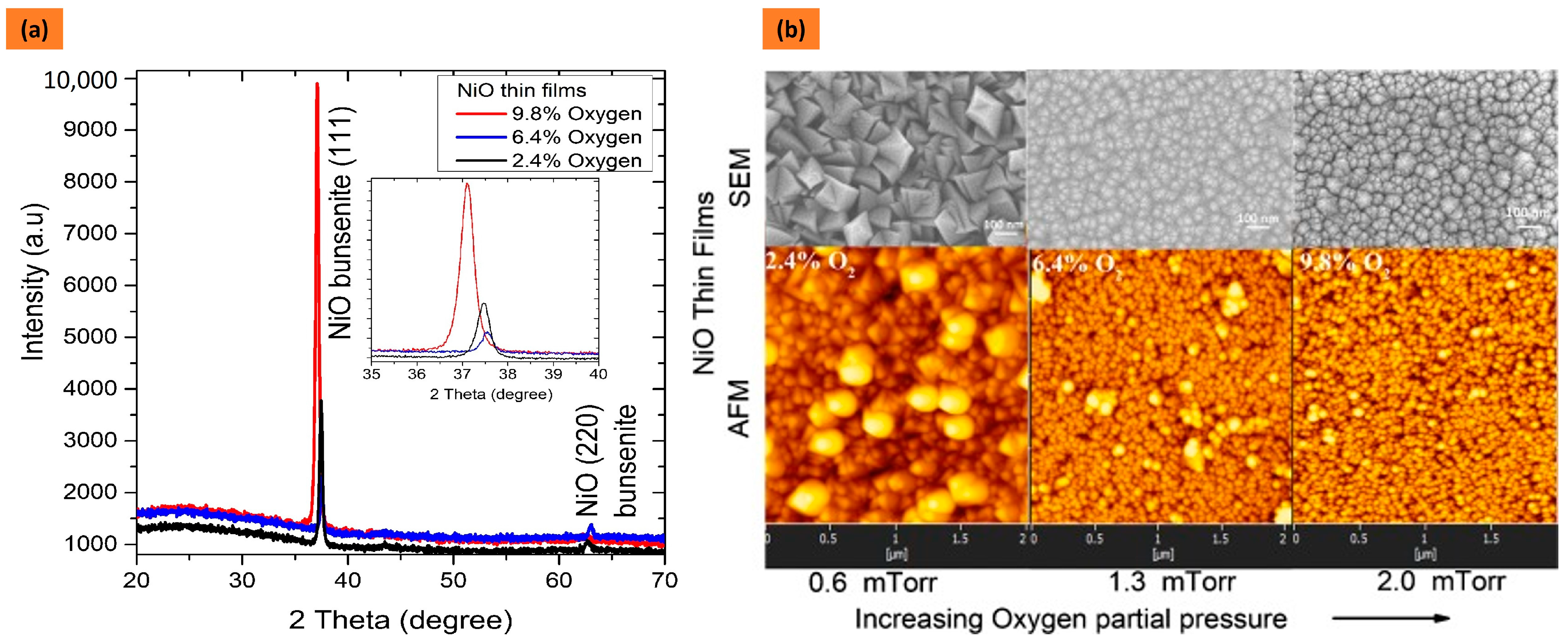 Chemosensors 12 00045 g005
