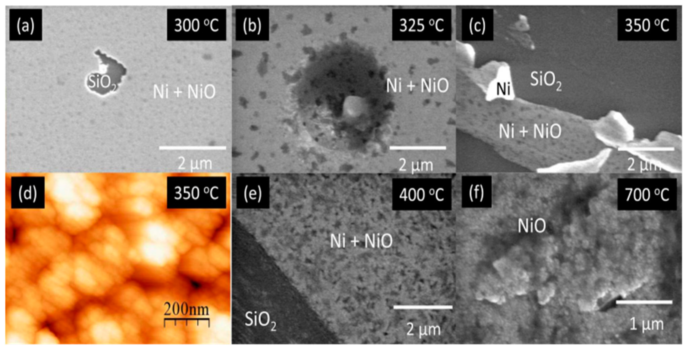 Chemosensors 12 00045 g009