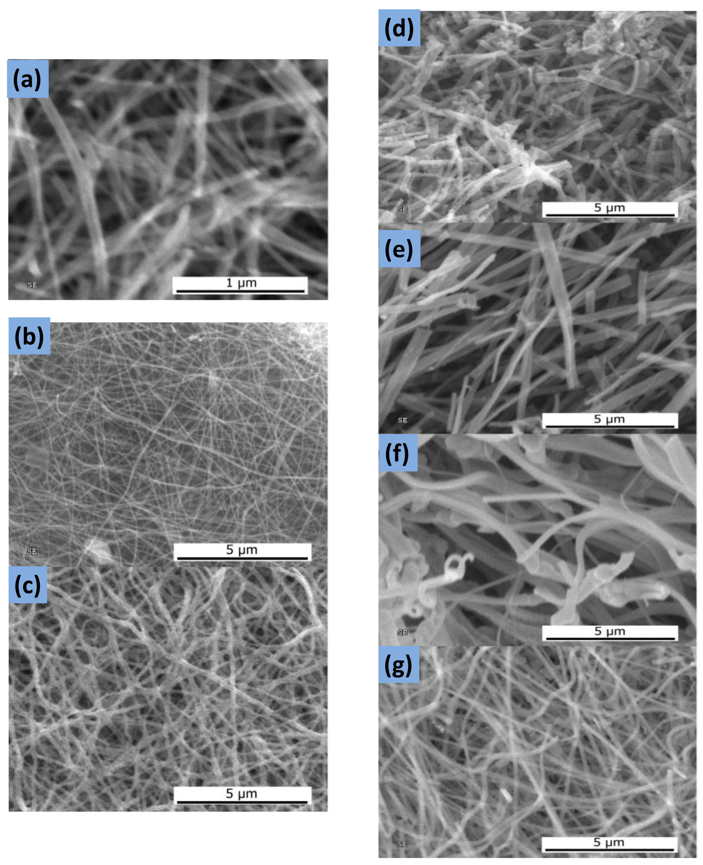 Chemosensors 12 00045 g017