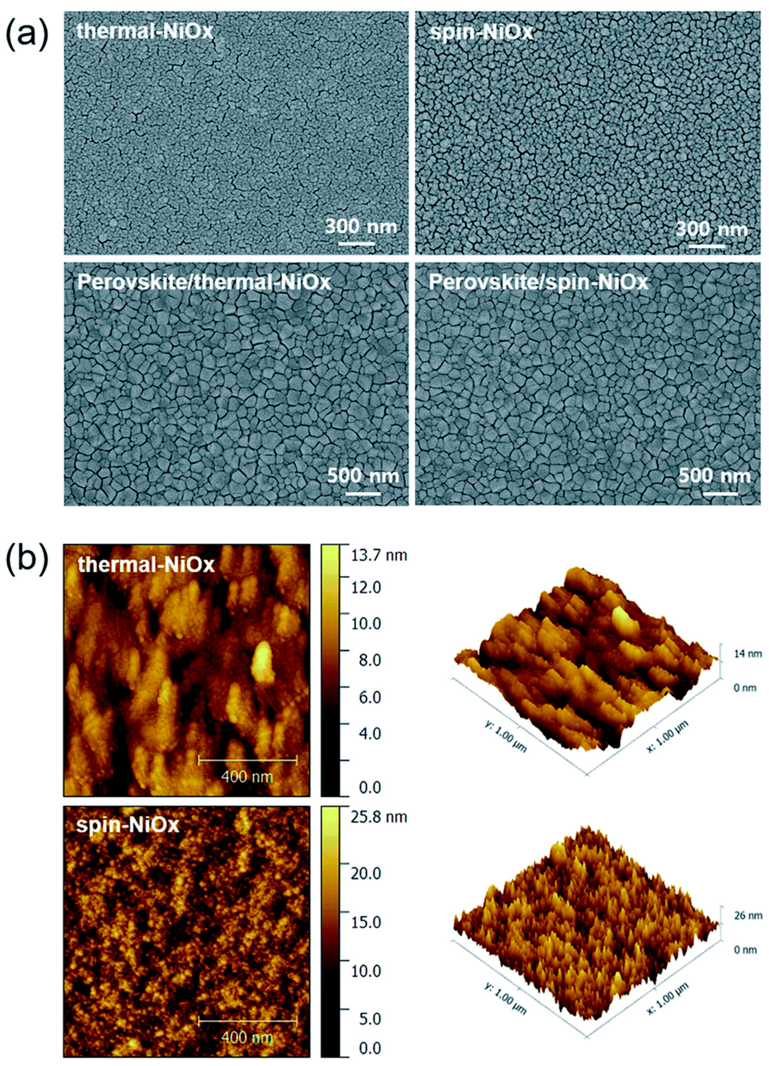 Chemosensors 12 00045 g020