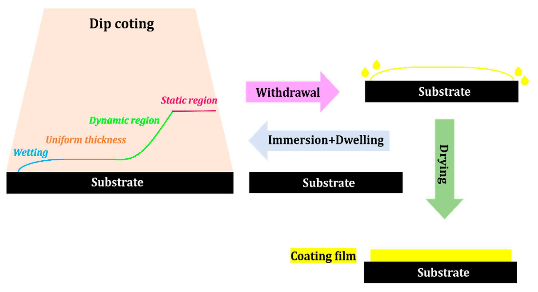 Chemosensors 12 00045 g021