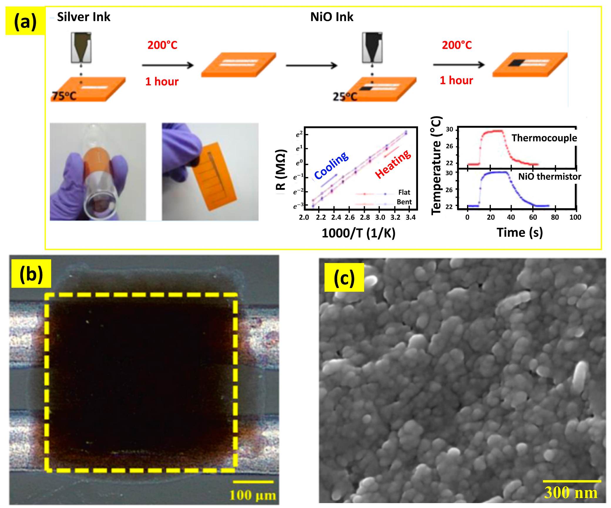Chemosensors 12 00045 g024