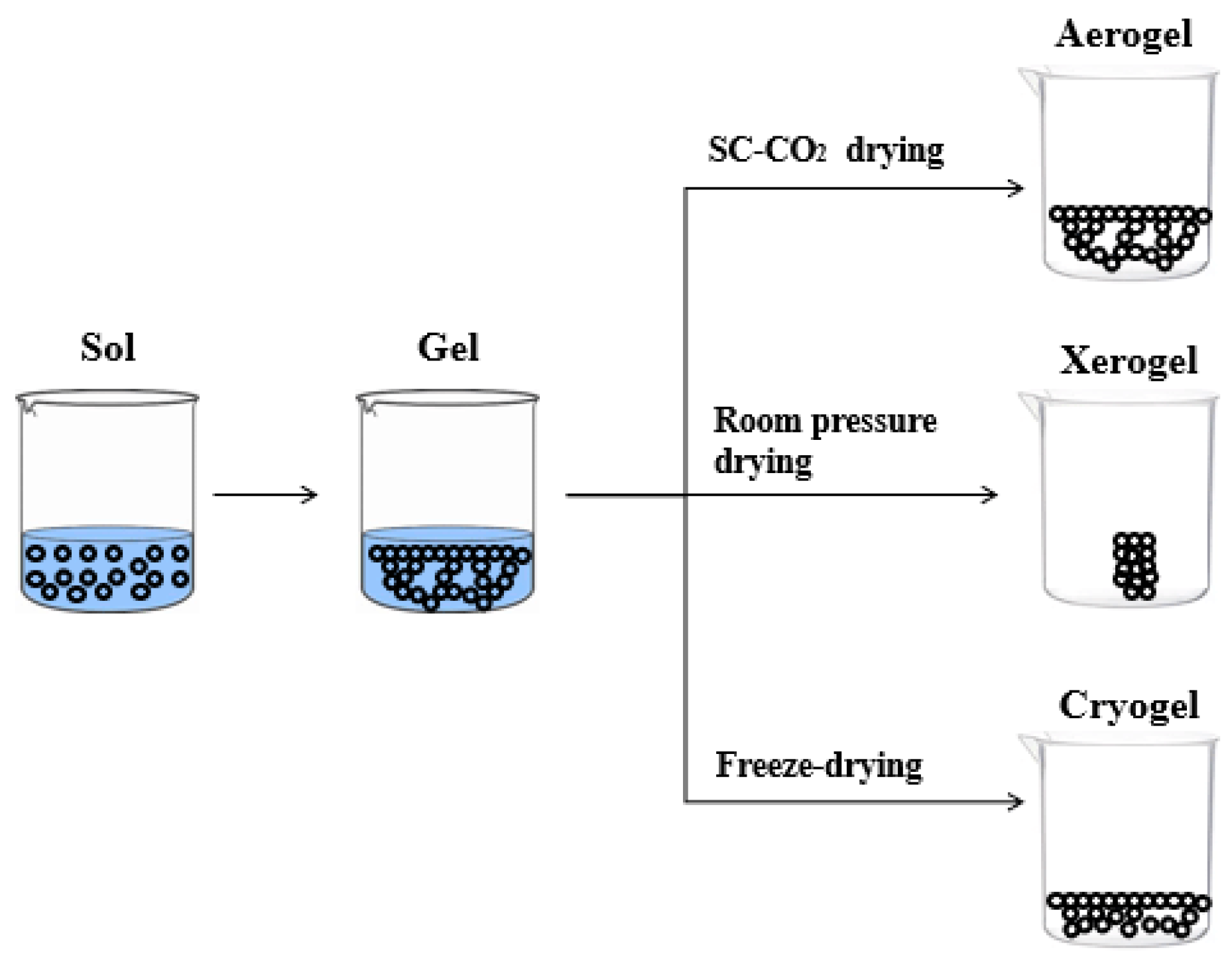 Chemosensors 12 00045 g026