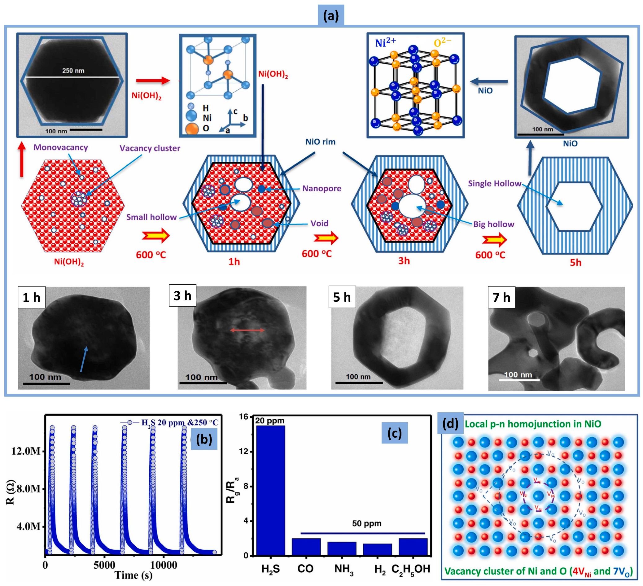 Chemosensors 12 00045 g032