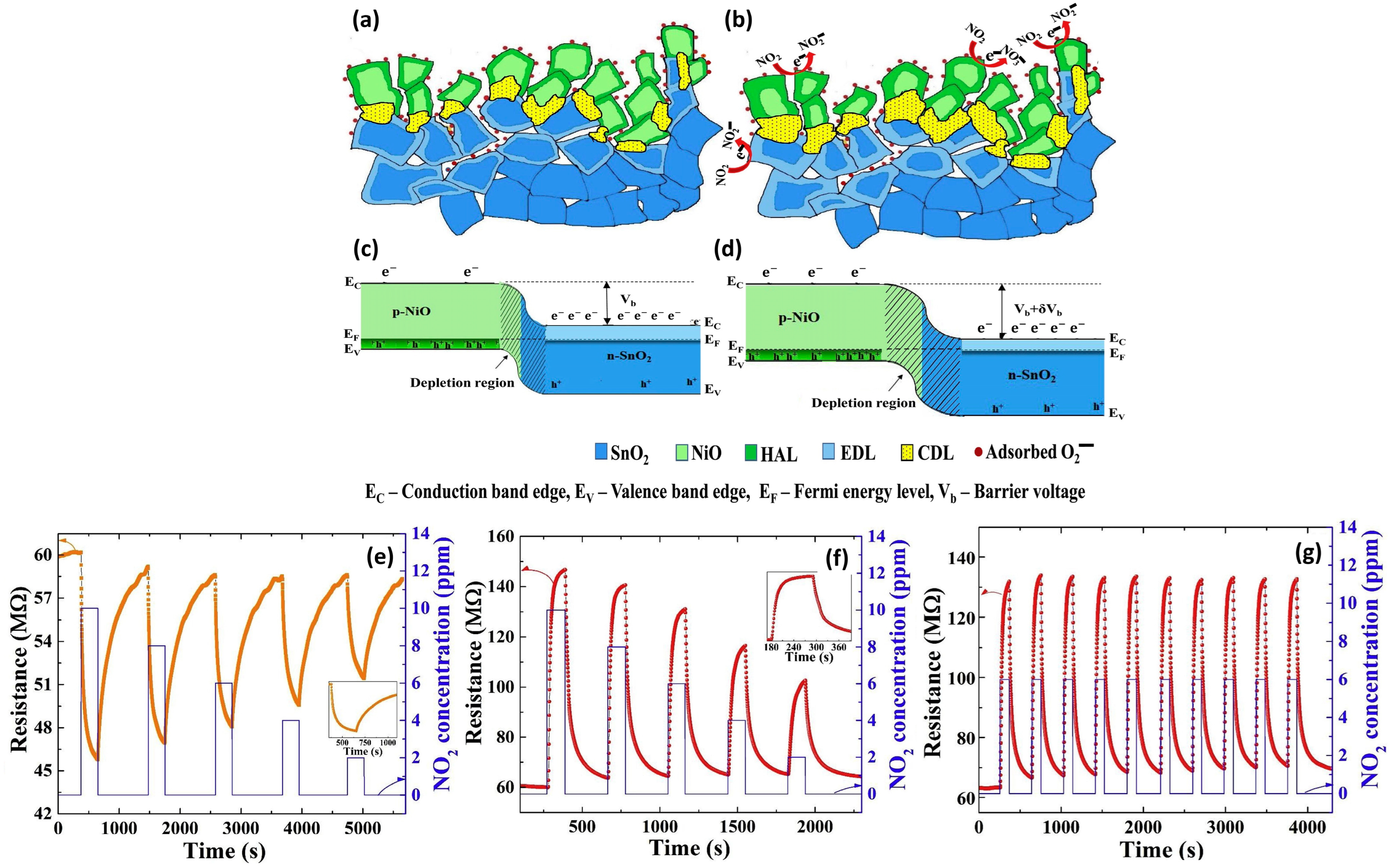 Chemosensors 12 00045 g037