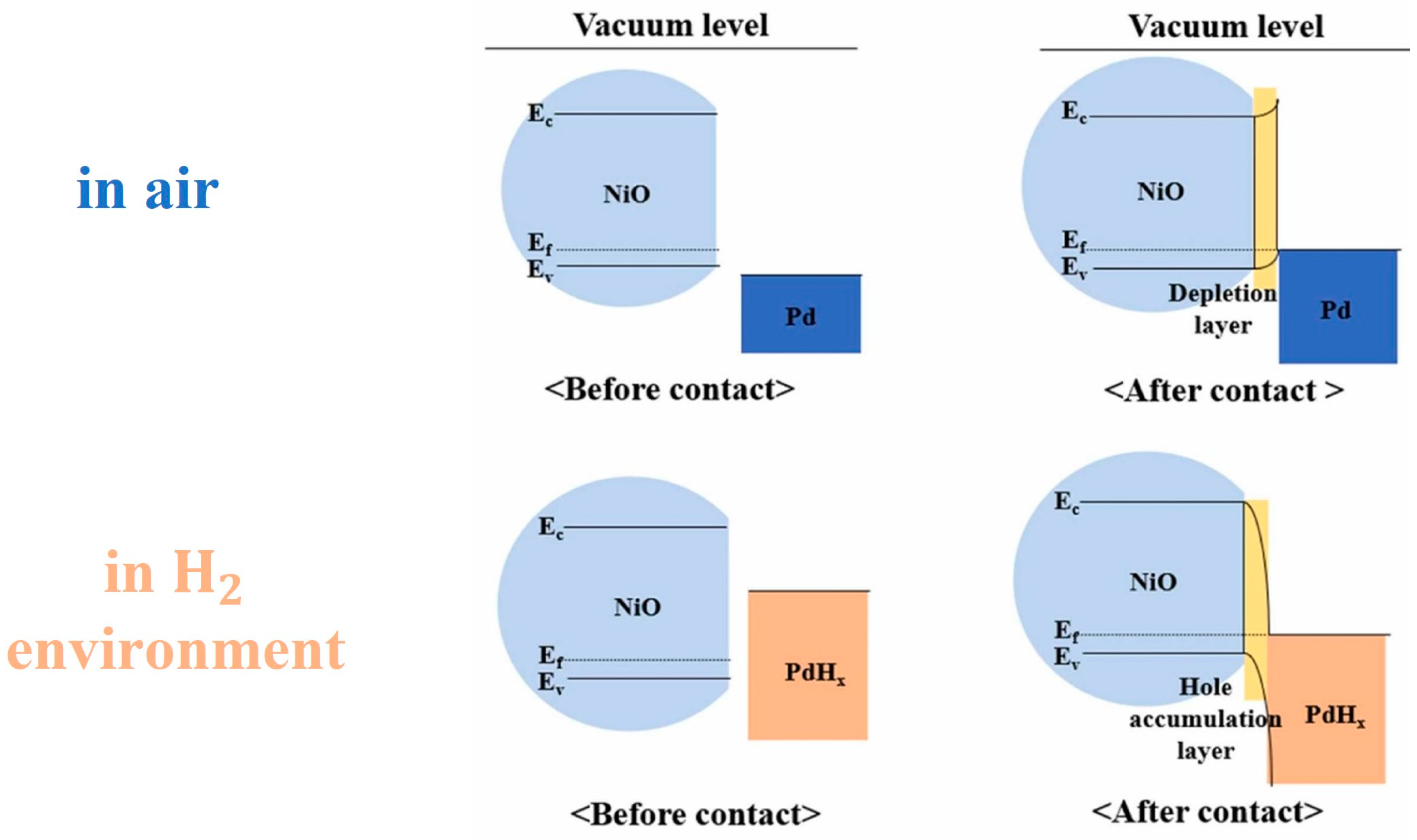 Chemosensors 12 00045 g048
