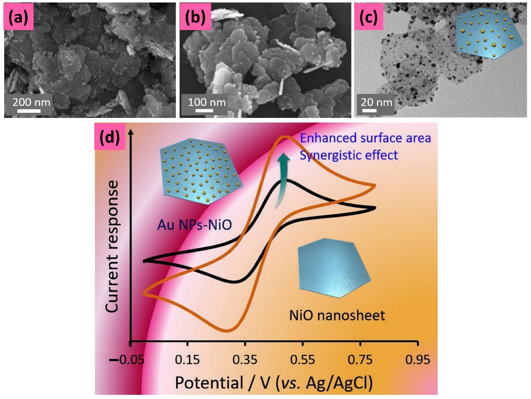Chemosensors 12 00045 g049