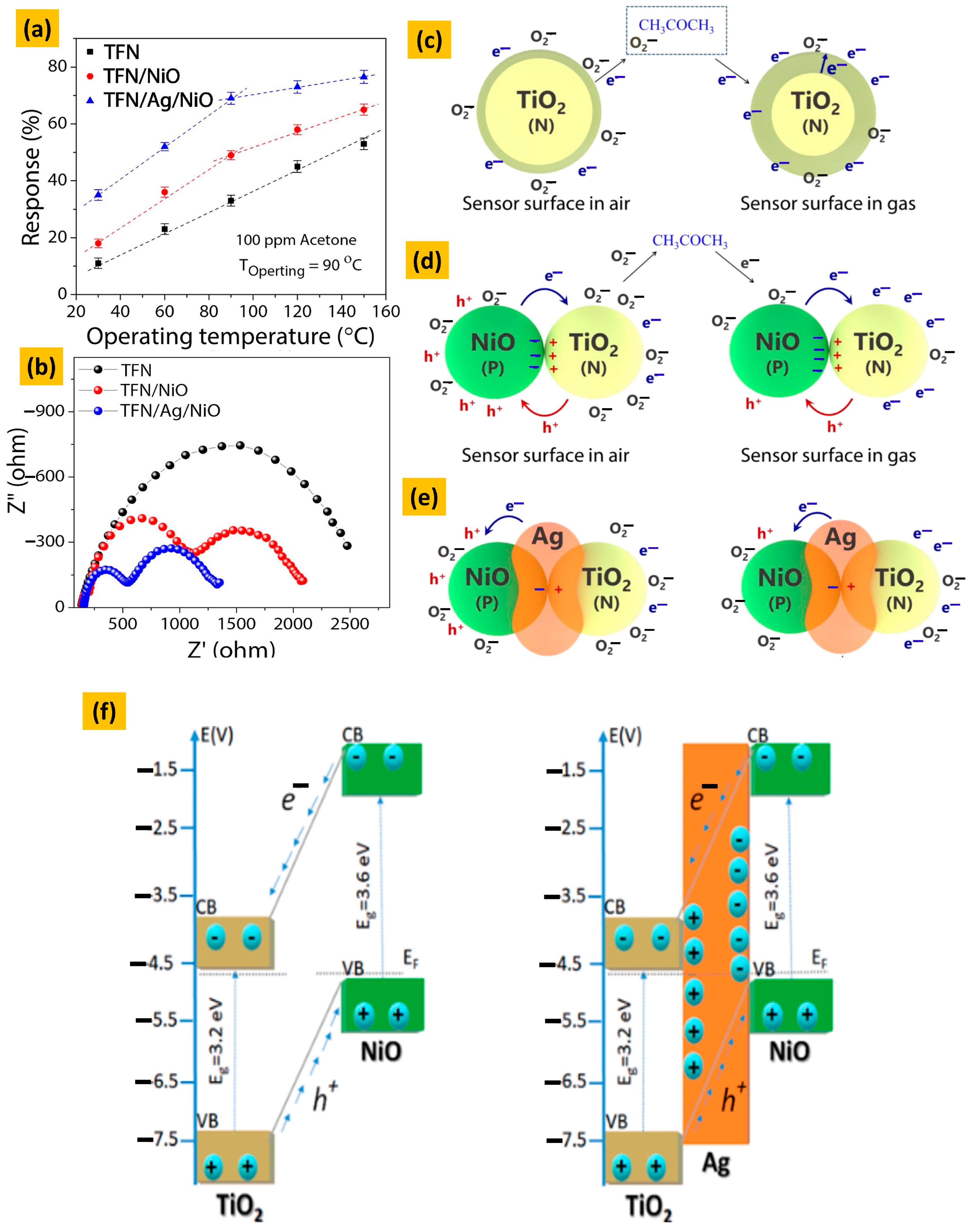 Chemosensors 12 00045 g050