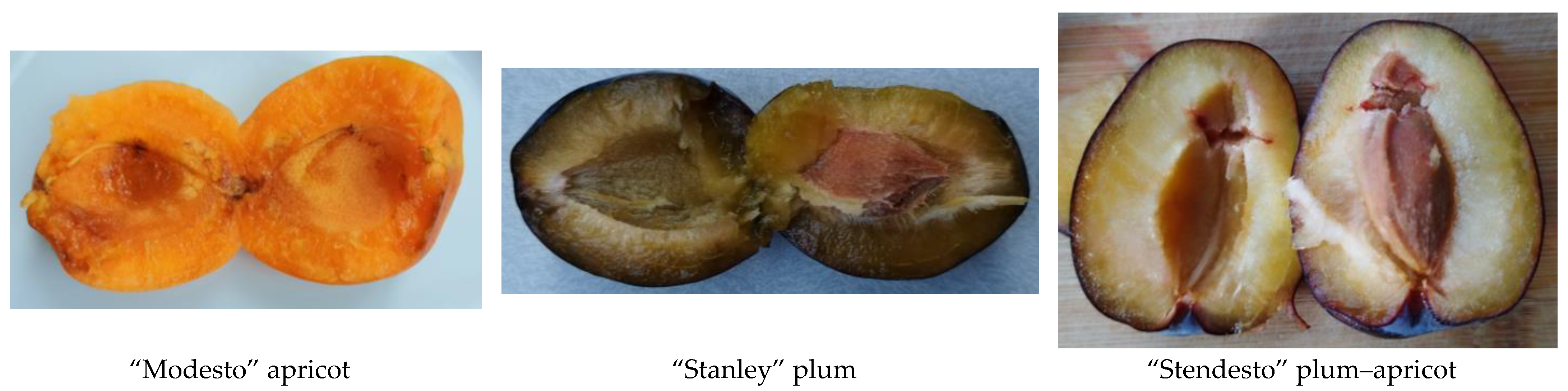 Chemosensors 12 00050 g001