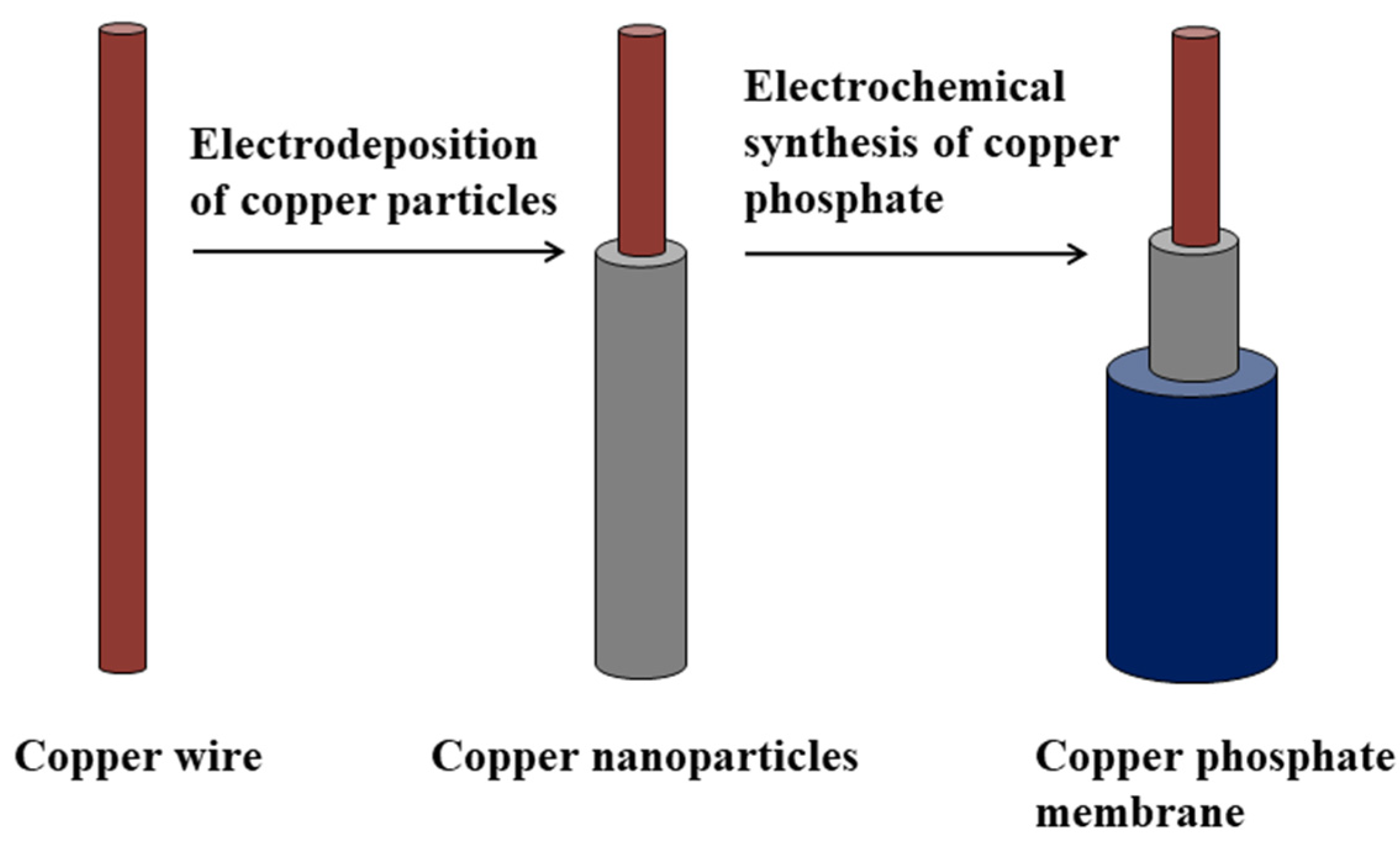 Chemosensors 12 00053 g001