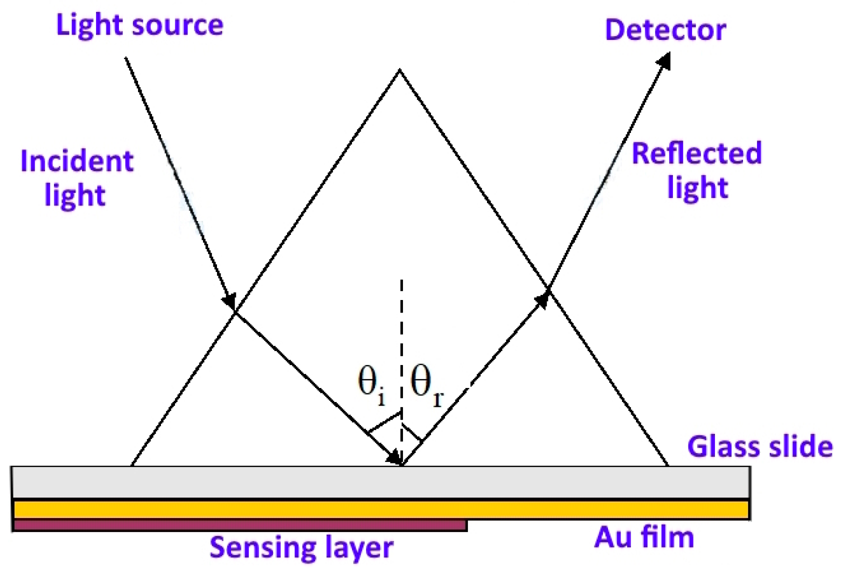 Chemosensors 12 00056 g002