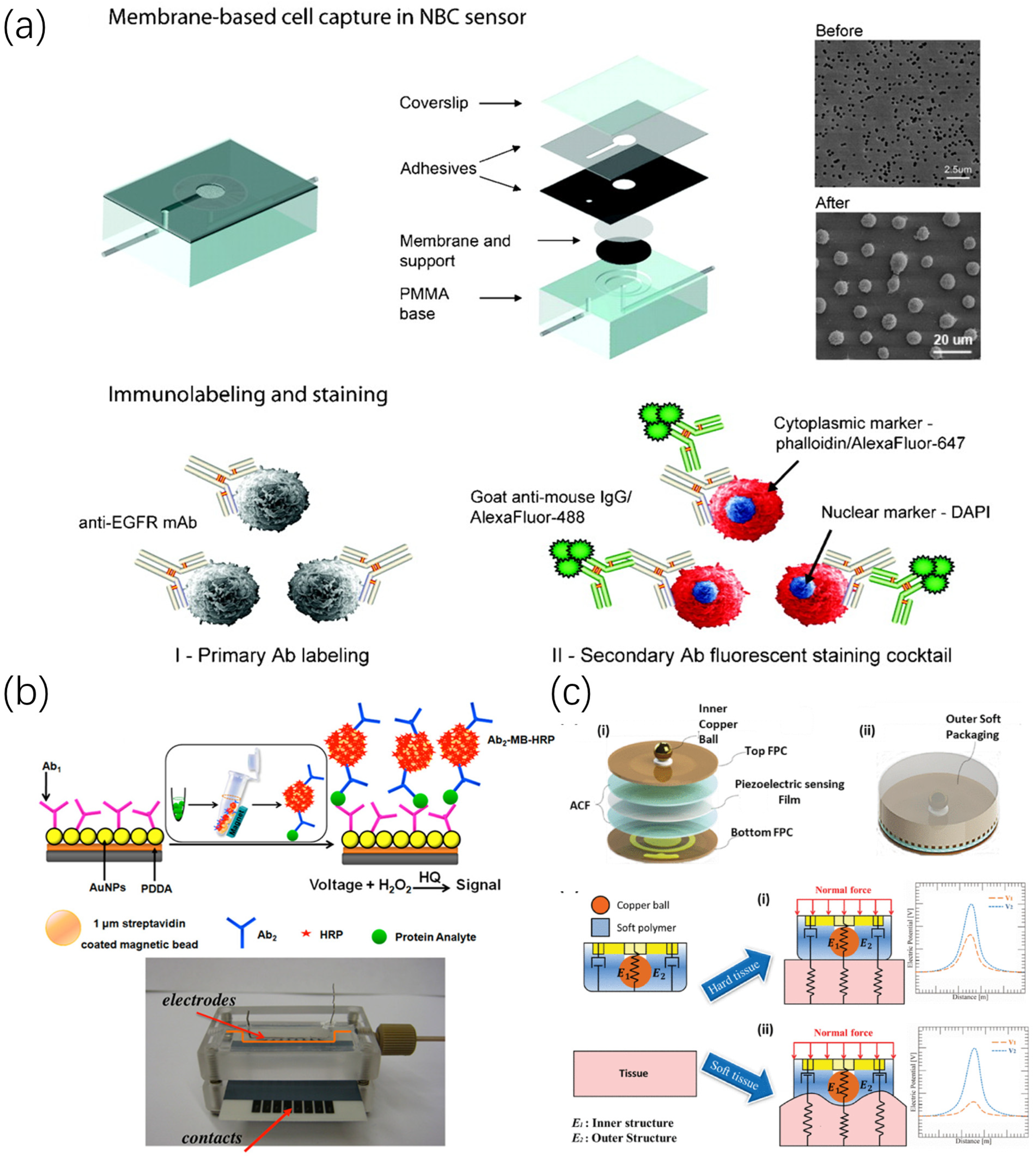 Application of Sensing Devices in the Detection of Oral, Pulmonary, and Gastrointestinal Diseases Application of Sensing Devices in the Detection of Oral, Pulmonary, and Gastrointestinal Diseases