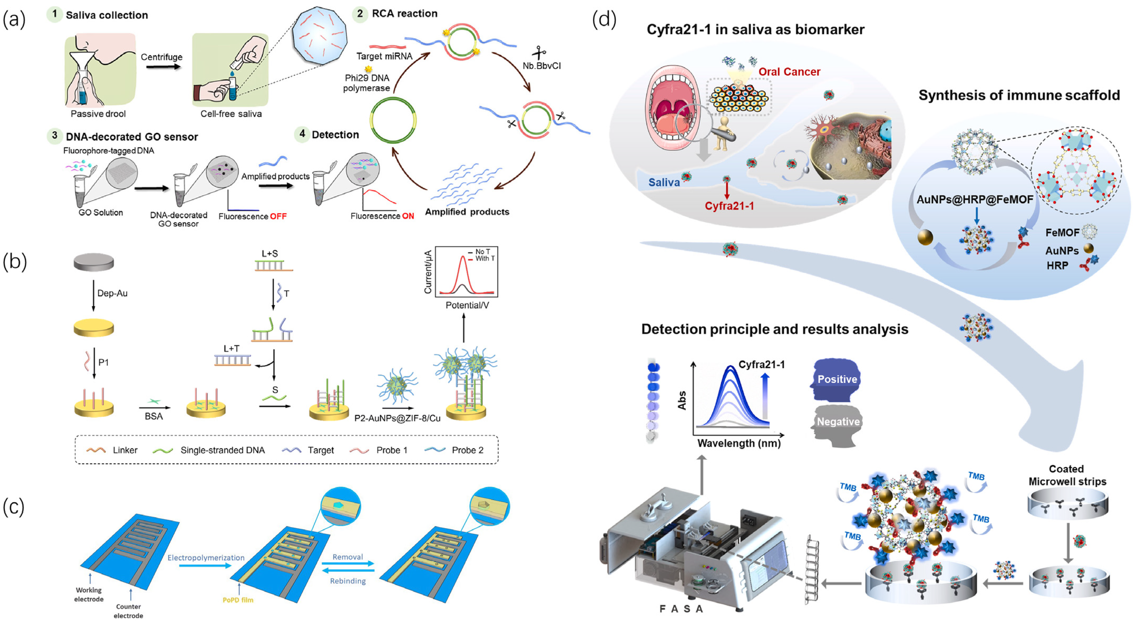 Chemosensors 12 00057 g002