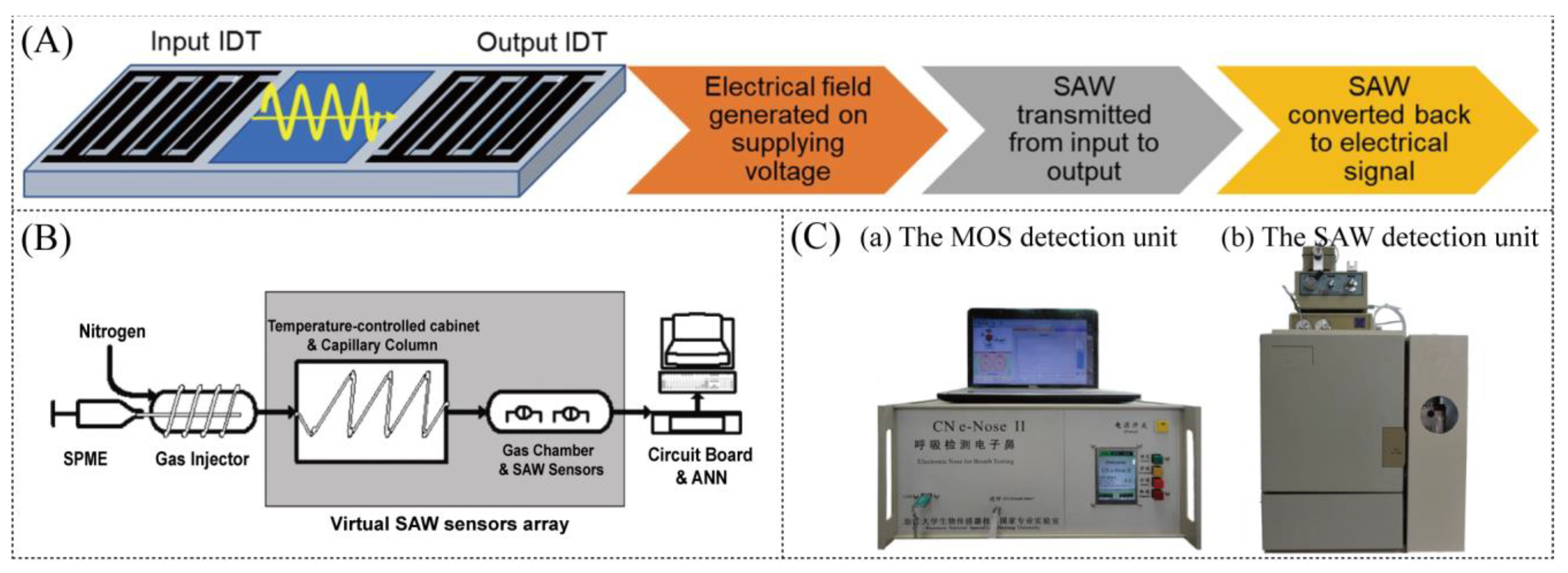 Chemosensors 12 00057 g005