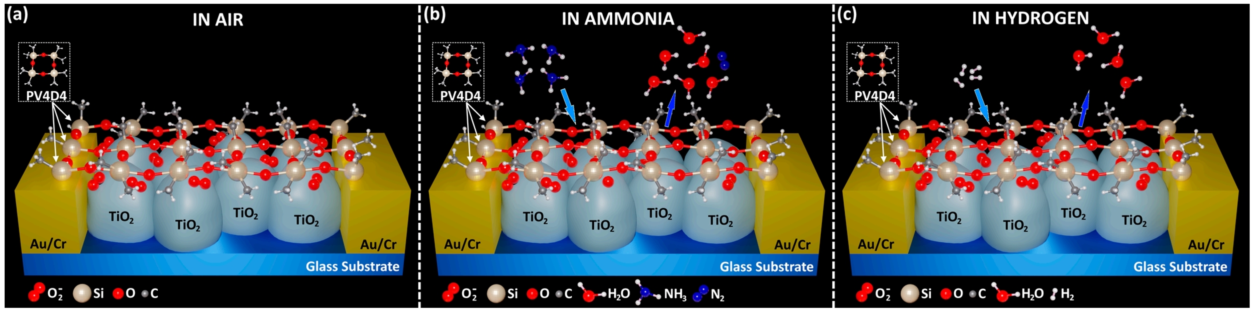 Chemosensors 12 00057 g009