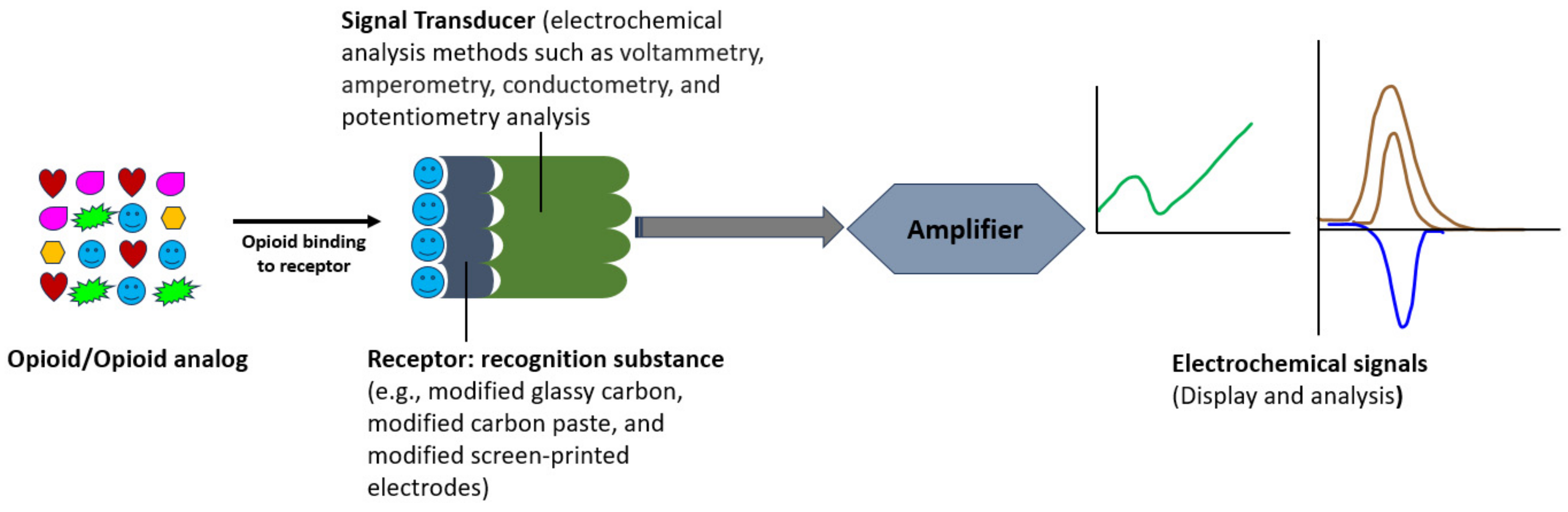 Chemosensors 12 00058 g007