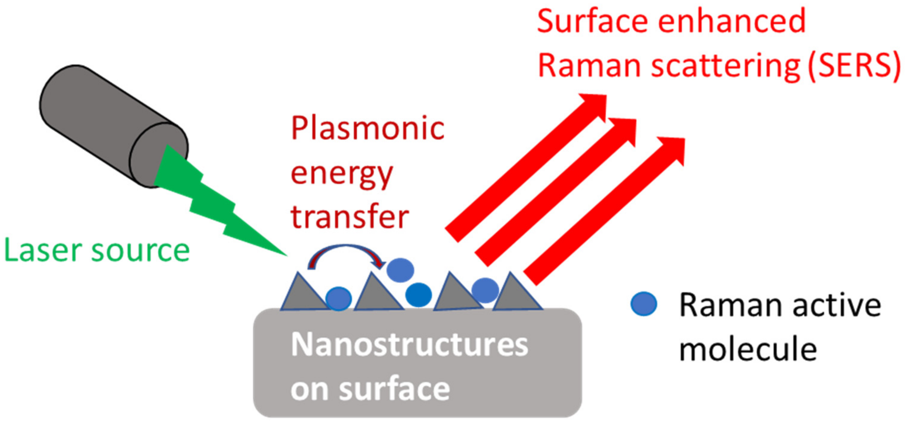 Chemosensors 12 00058 g014