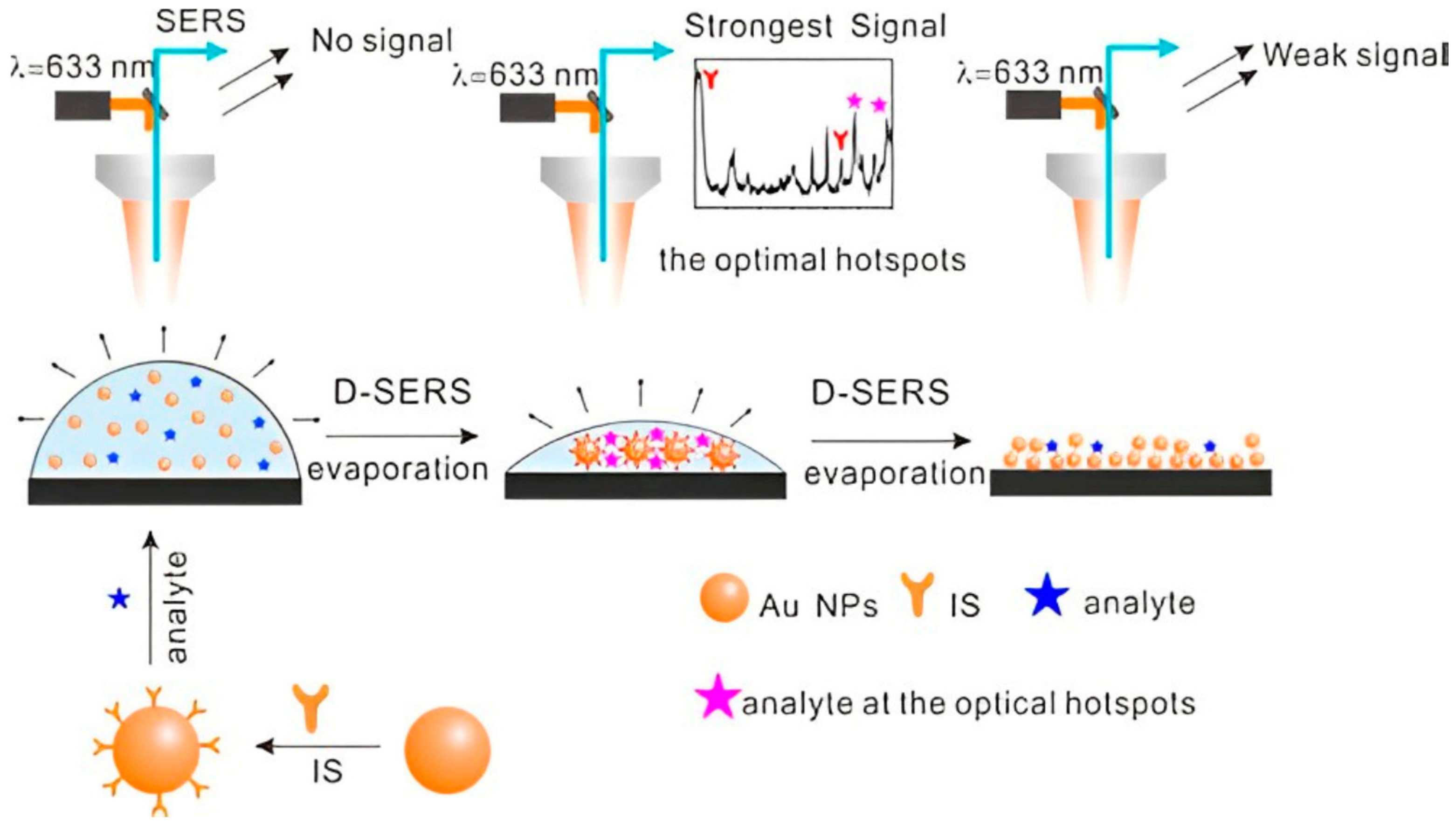 Chemosensors 12 00058 g015