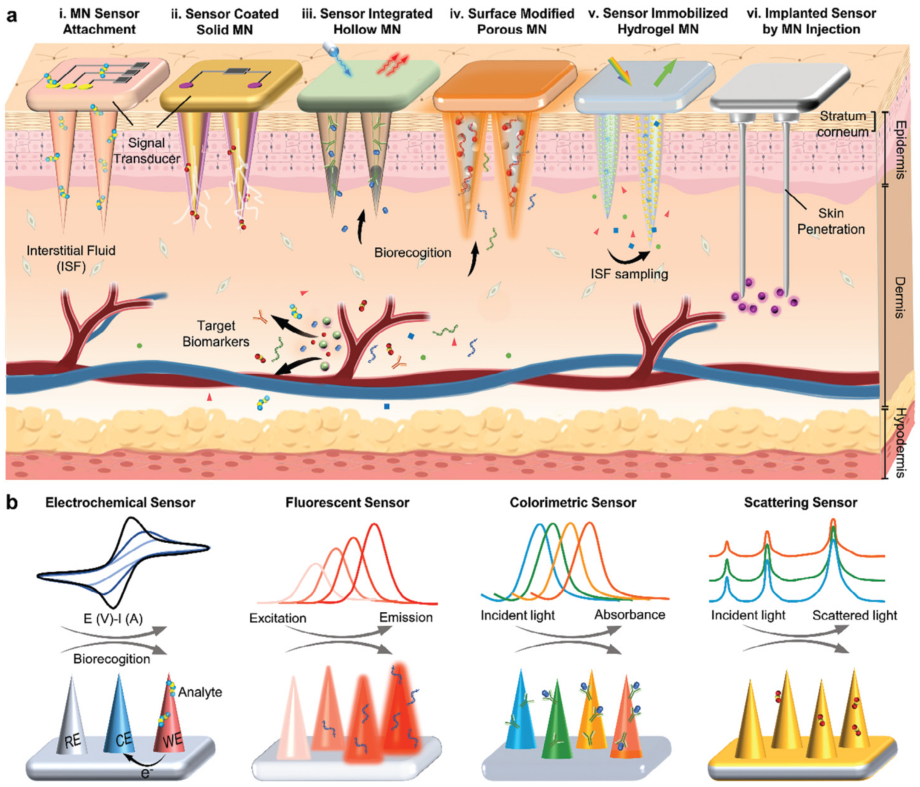 Chemosensors 12 00058 g027
