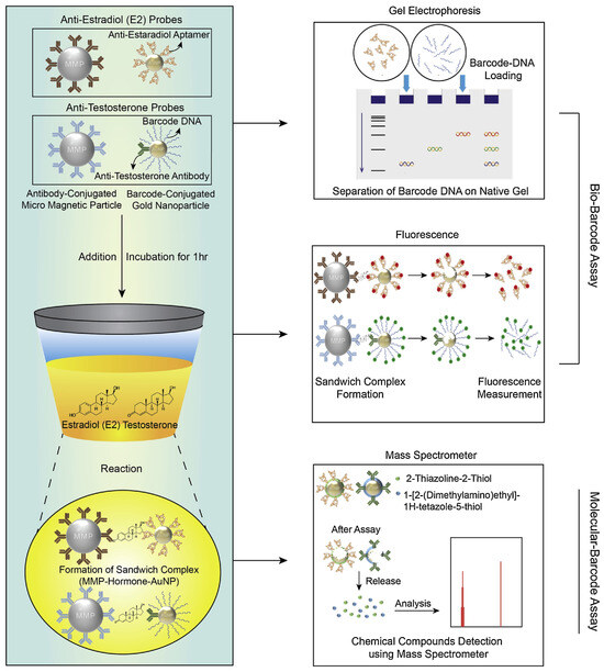 Ultrahigh-Sensitivity Detection of 17β-Estradiol Ultrahigh-Sensitivity Detection of 17β-Estradiol