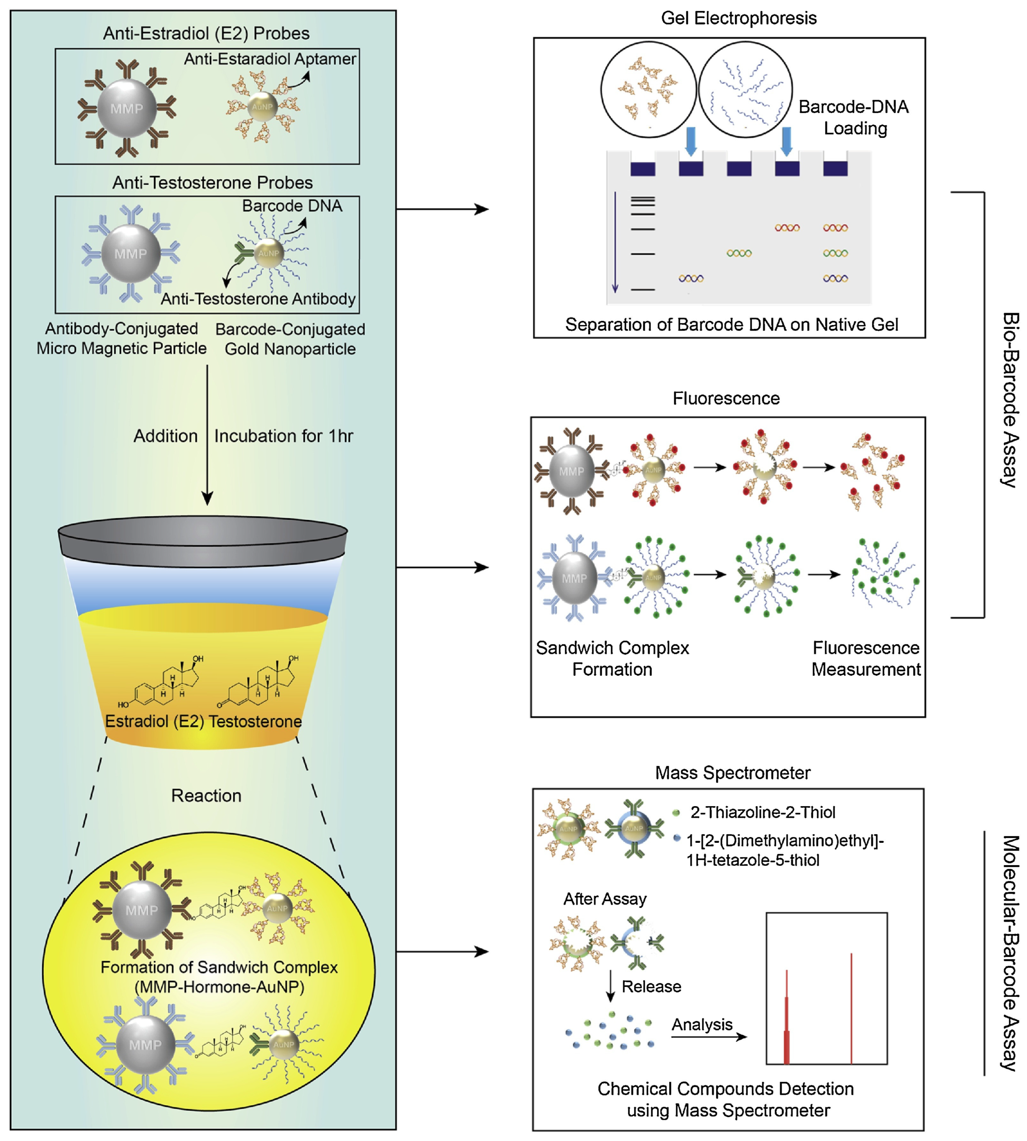 Chemosensors 12 00061 g009
