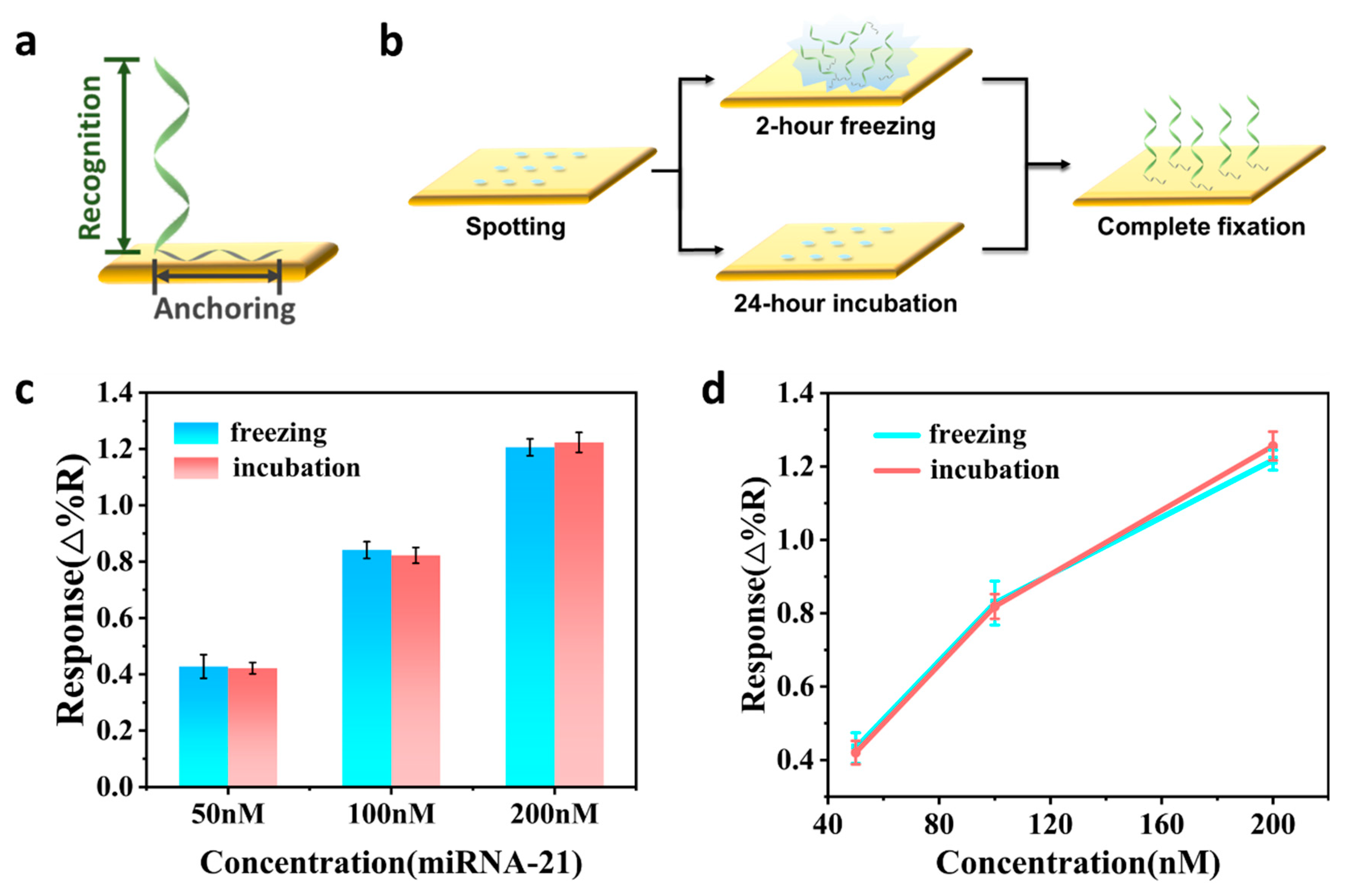 Chemosensors 12 00066 g001