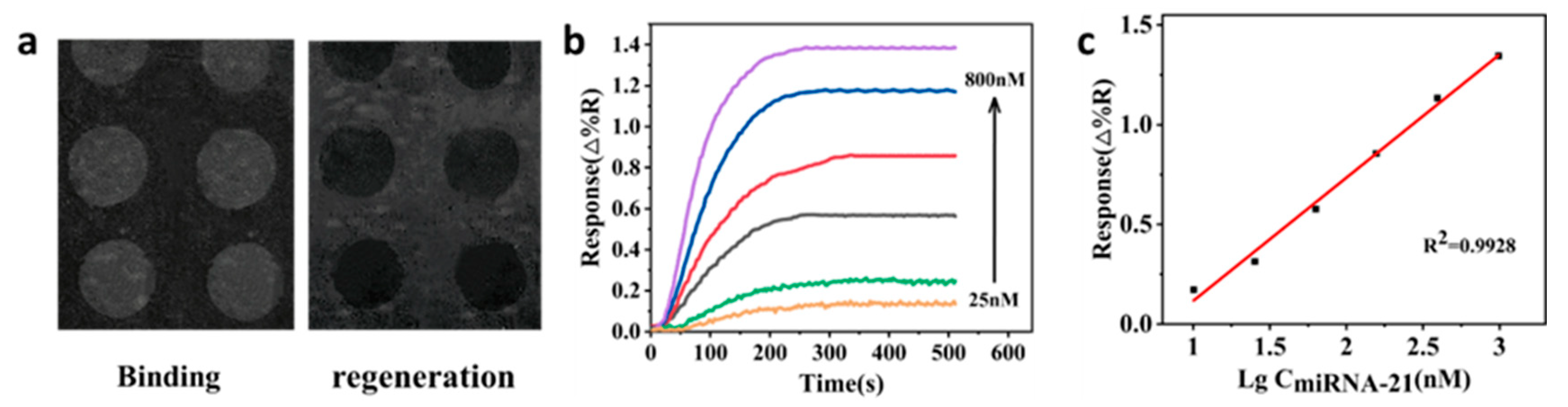Chemosensors 12 00066 g003