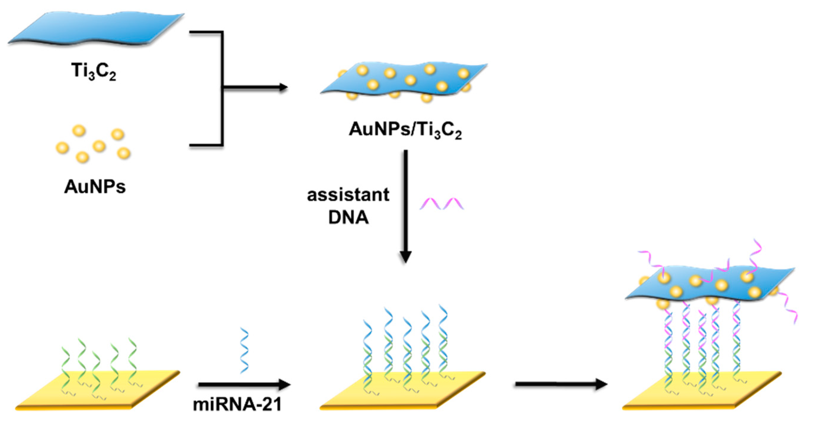 Chemosensors 12 00066 sch001