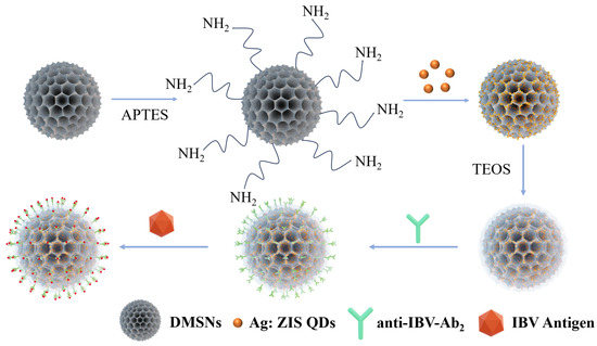 Application of Nanomaterials as an Advanced Strategy for the