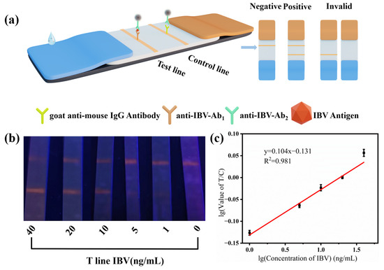 【特価】 Sensitive and Rapid Detection Employing Virus B Influenza of 調理器具