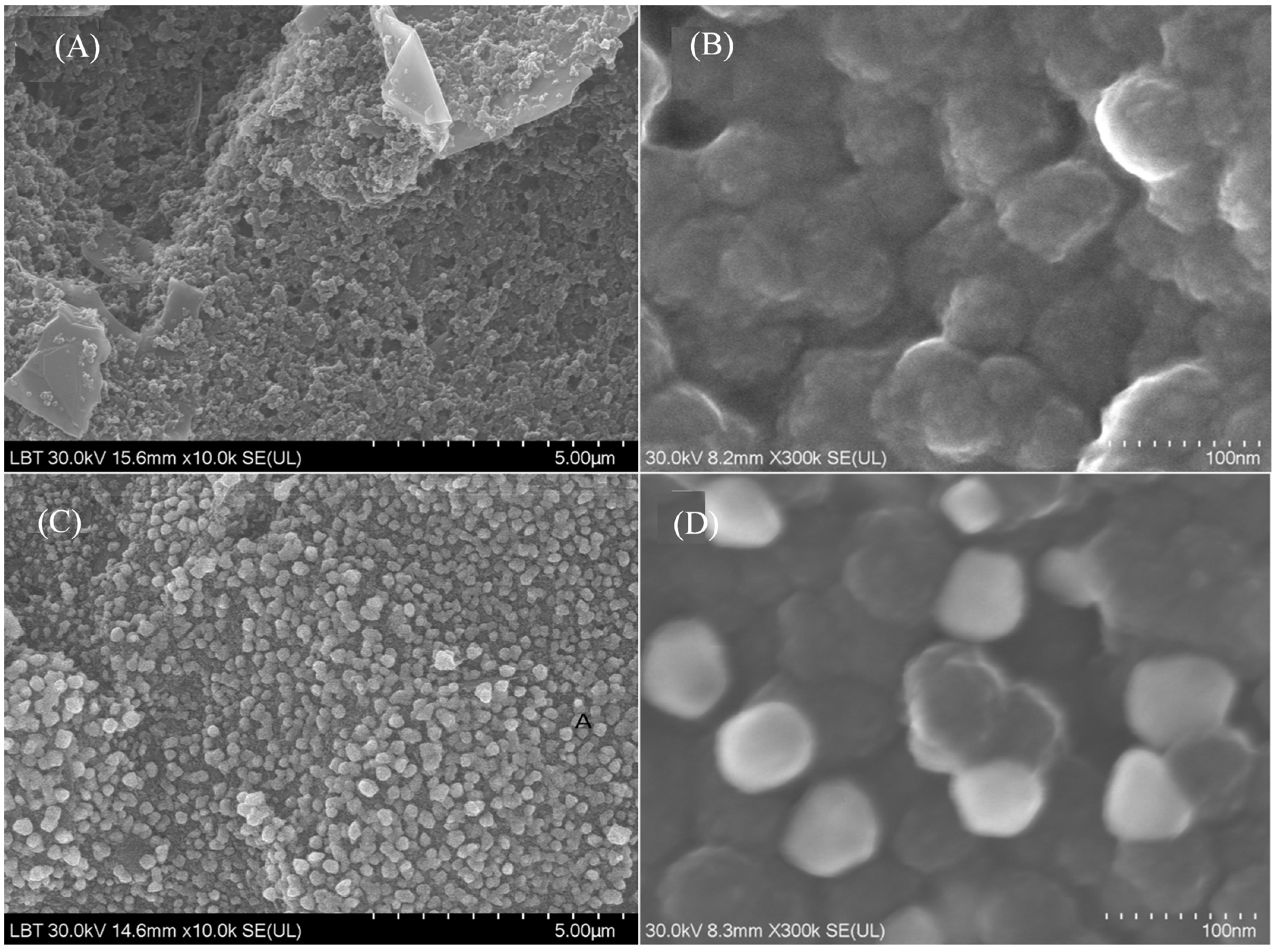 Chemosensors 12 00069 g003