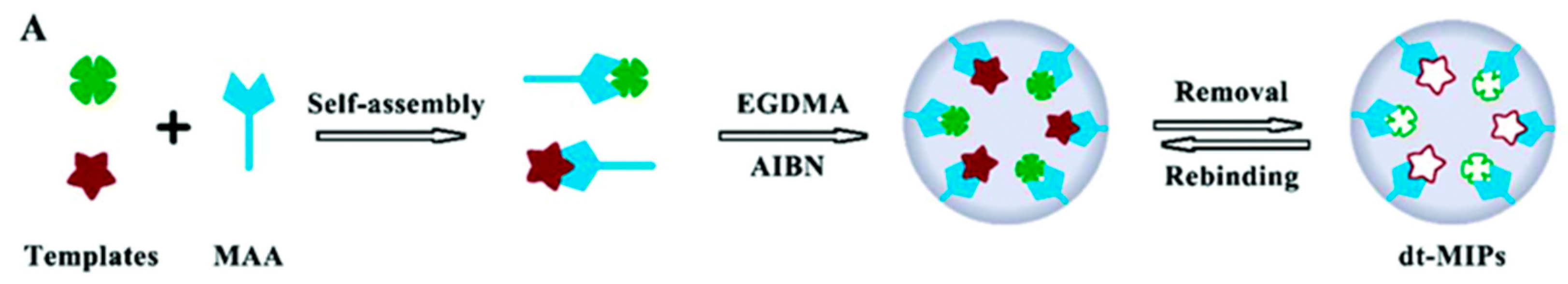 Chemosensors 12 00072 g002