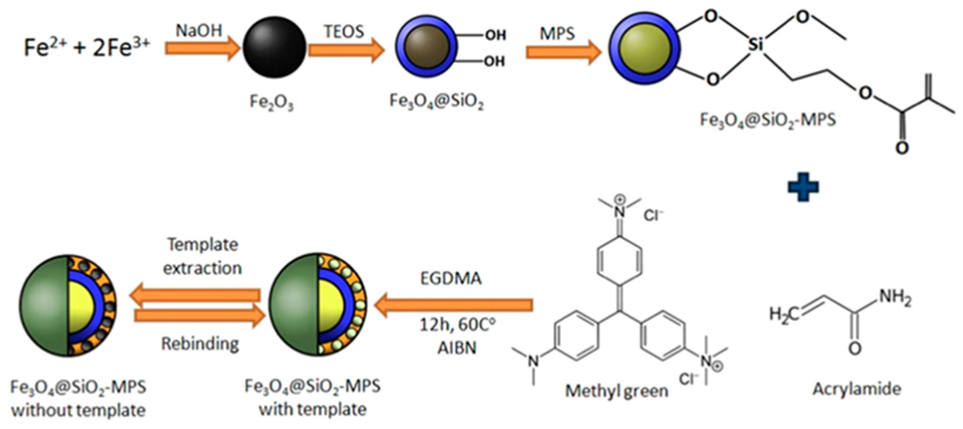 Chemosensors 12 00072 g005