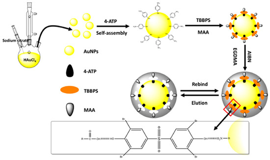 Research Progress on Molecularly Imprinted Materials for the Research Progress on Molecularly Imprinted Materials for the