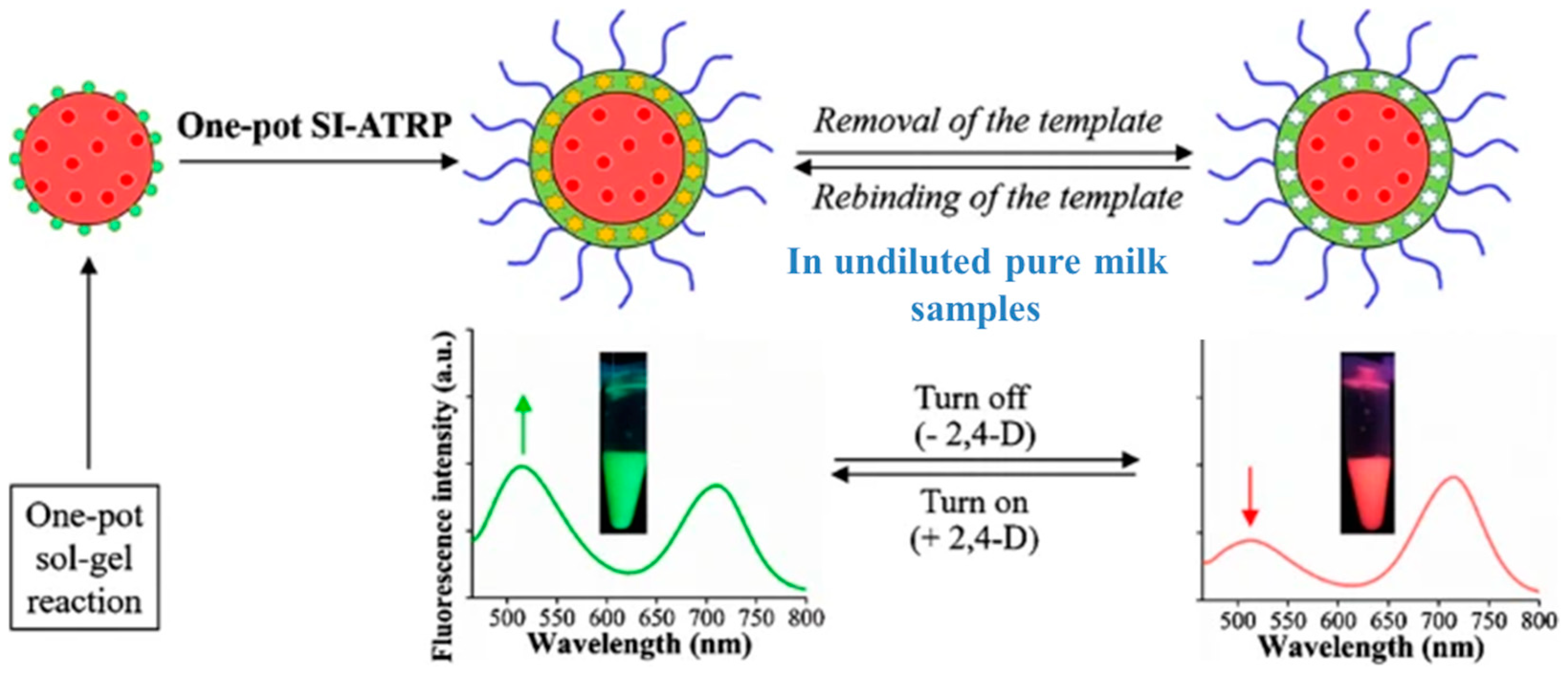 Chemosensors 12 00072 g009