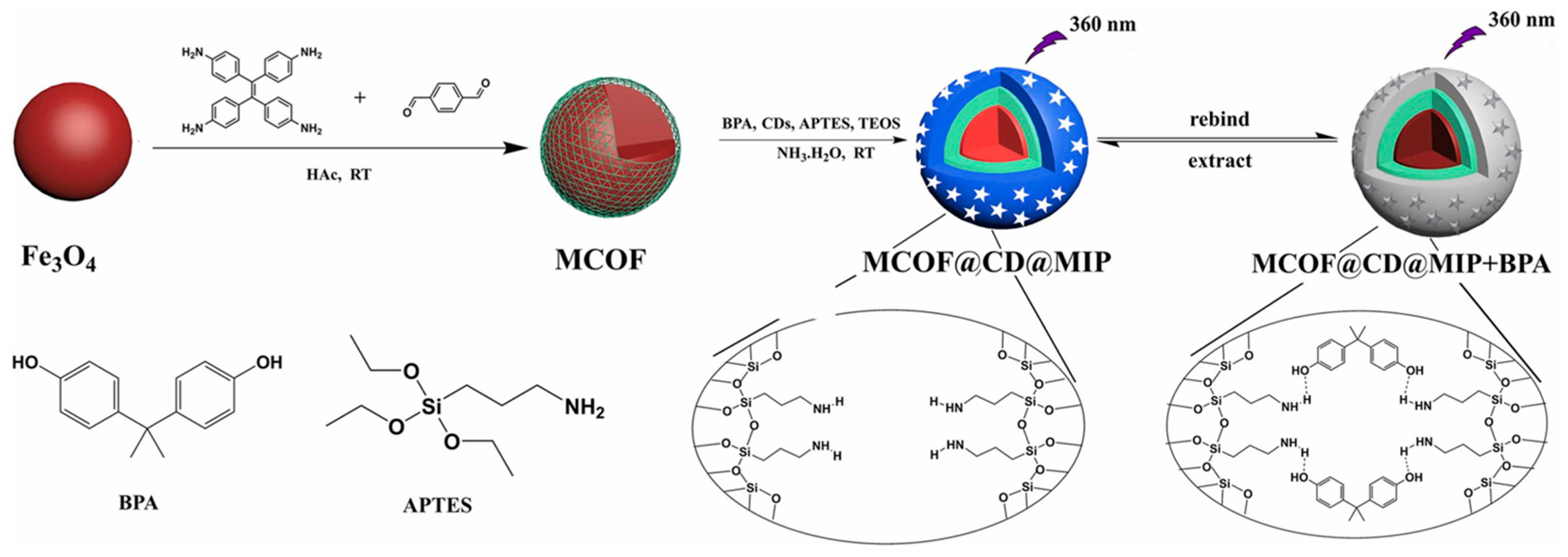 Chemosensors 12 00072 g011